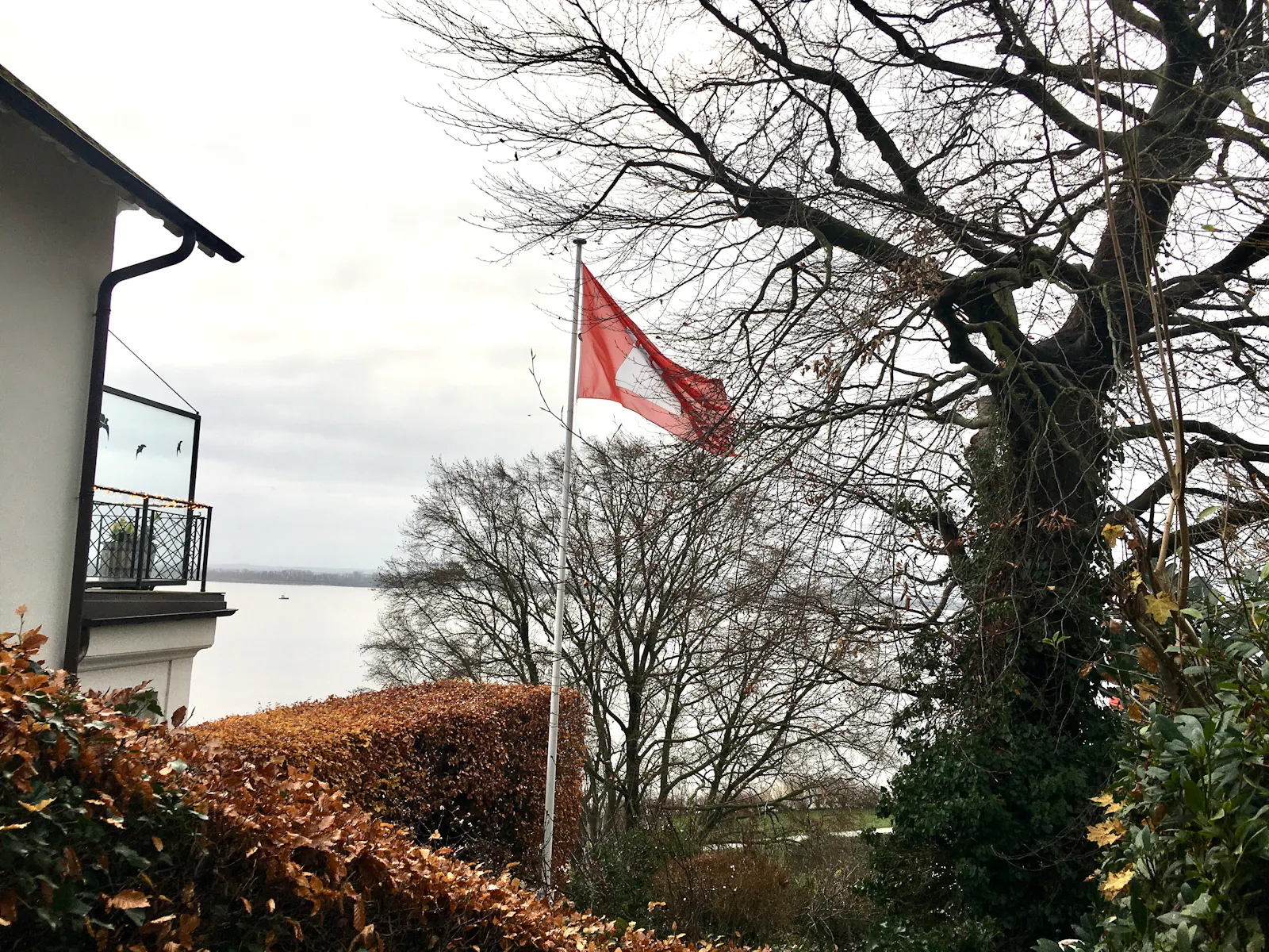 Teil eines Hauses, eine Hamburg-Fahne, ein Baum und im Hintergrund die Elbe, dazu eine weißgraue Wolkendecke