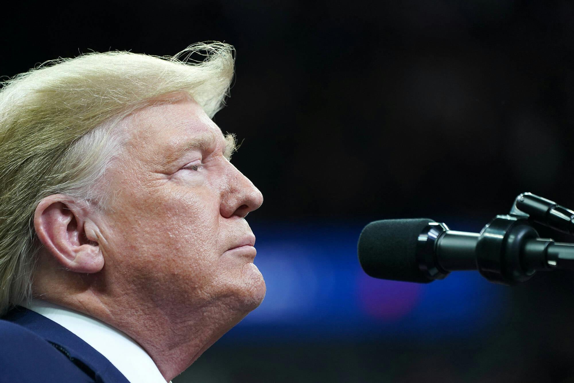 Donald Trump im Profil
