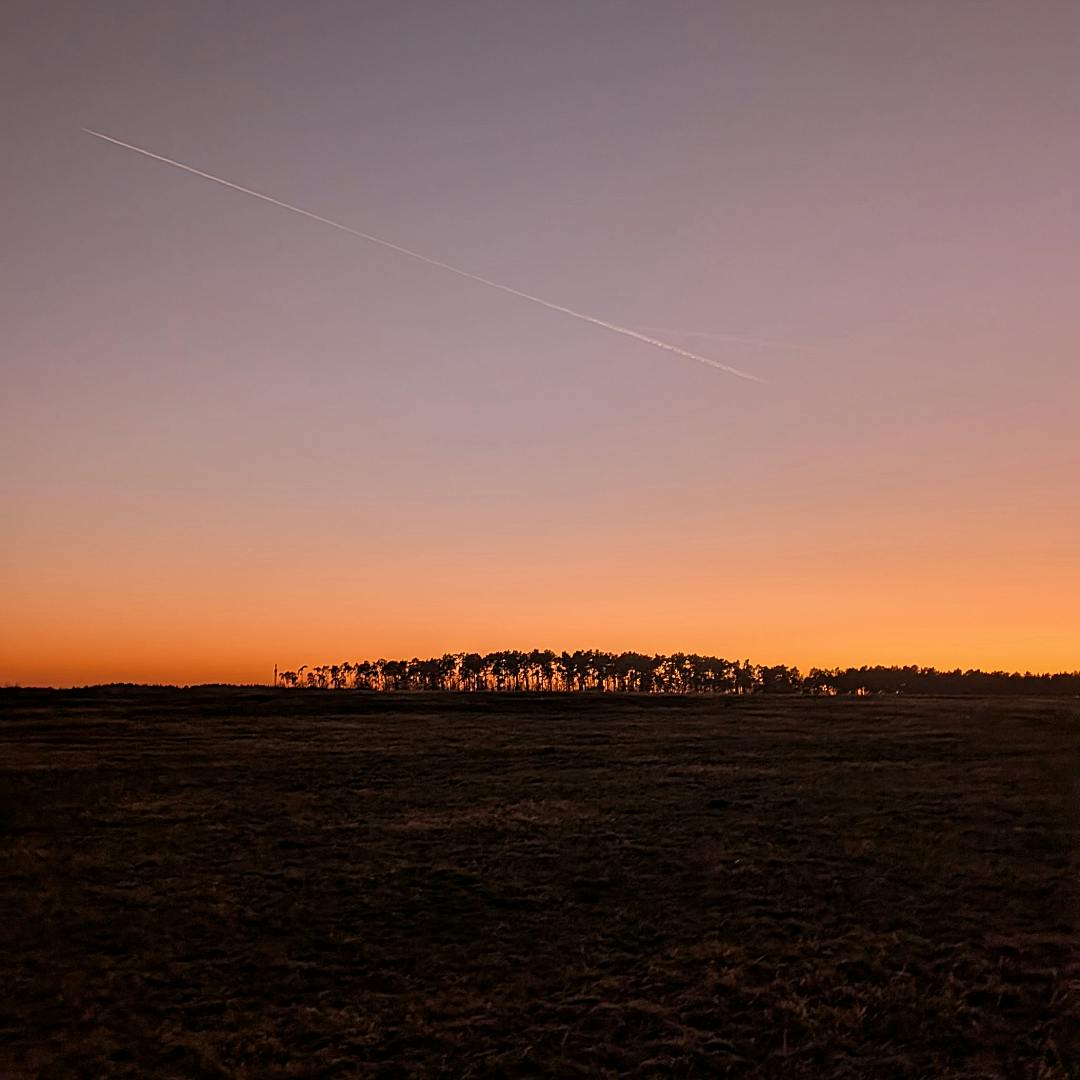 Ein durch die untergehende Sonne rot erleuchteter Himmel, darauf der Kondensstreifen eines Flugzeuges. Im Vordergrund dunkle Wiese.
