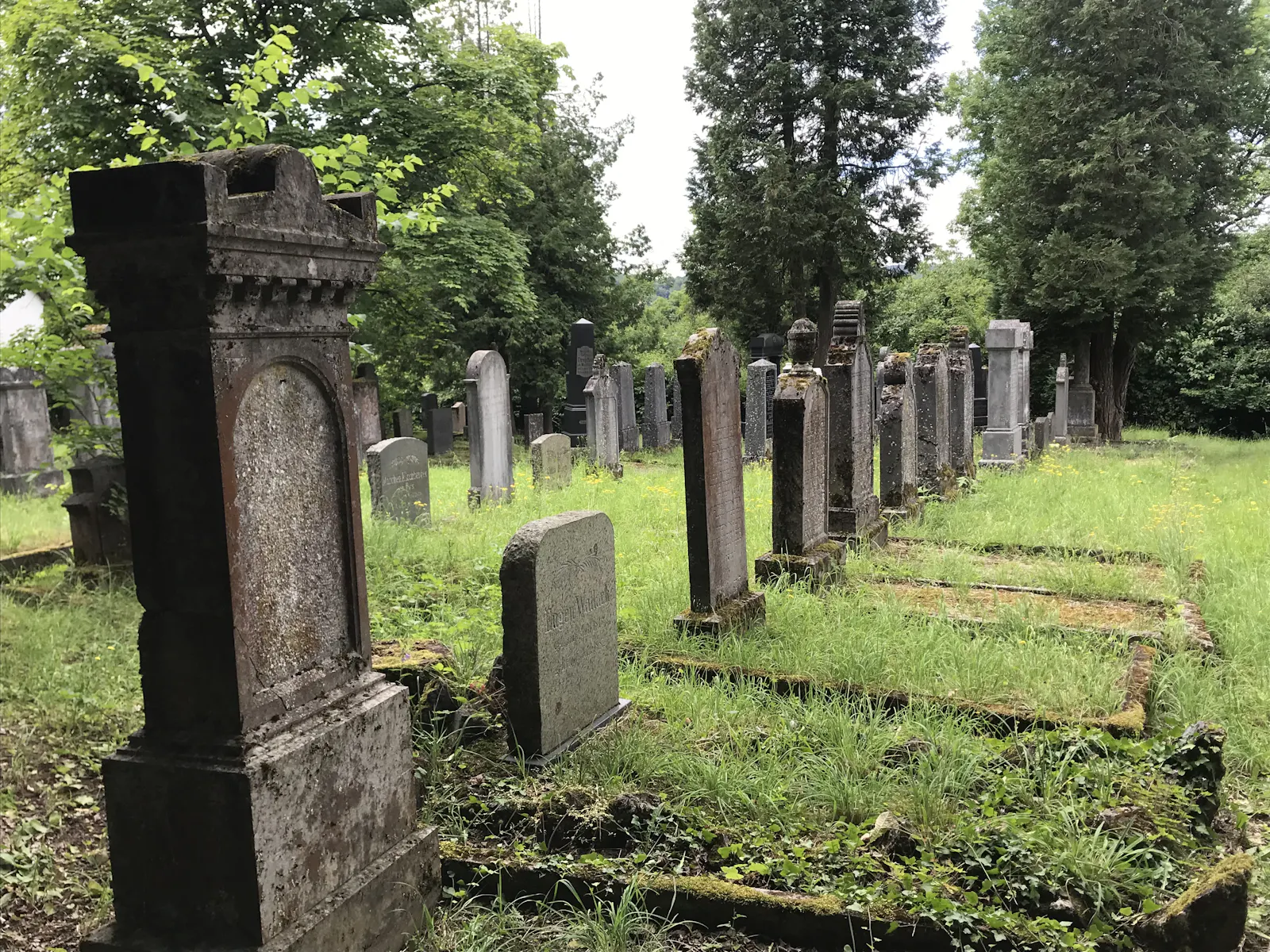 Eine Reihe von Grabsteinen stehen auf dem jüdischen Friedhof in Weilburg, dazwischen befindet sich einen Rasenfläche.