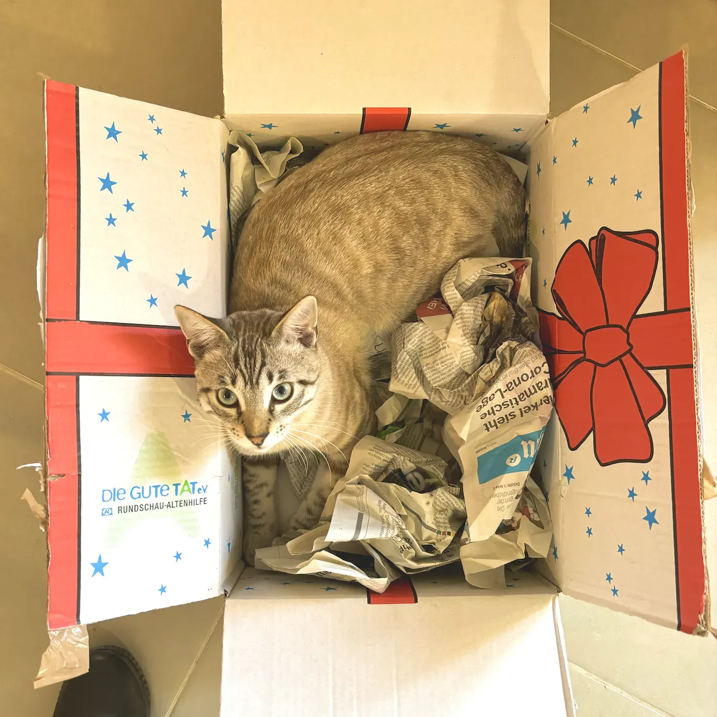 Mando im Geschenkkarton