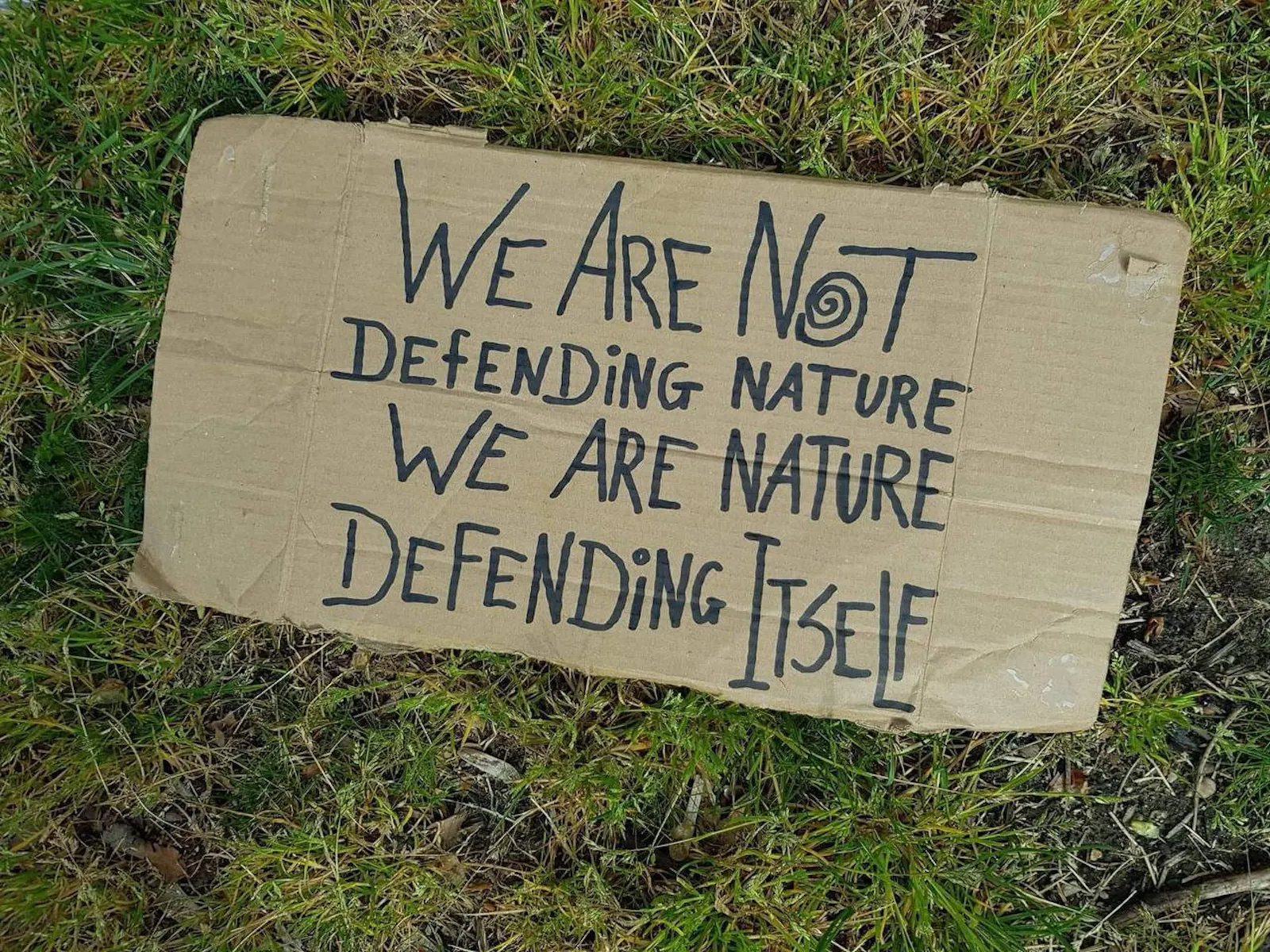 Pappschild im Gras mit der Aufschrift "We are not defending nature, we are nature defending itself"