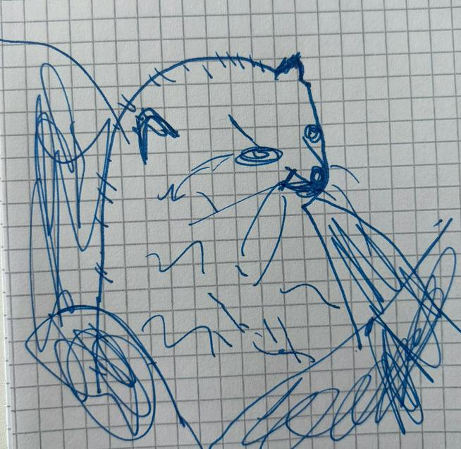 Gezeichnetes Kodkod-Bild