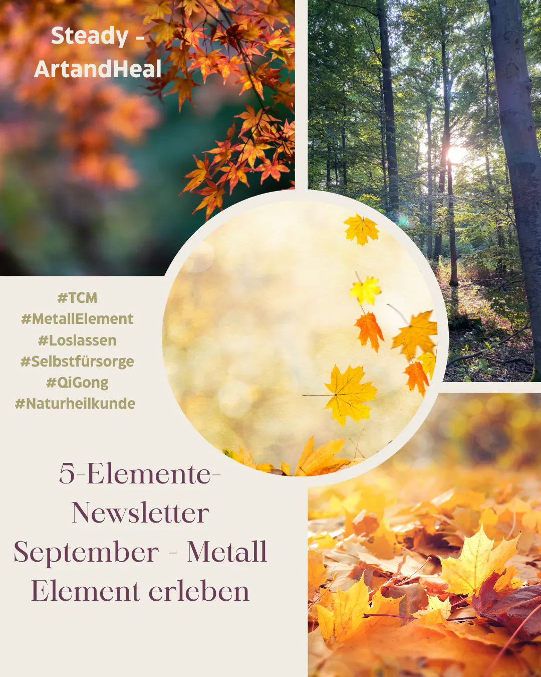 Collage mit verscheidenen Herbstbildern, Wlad und fallende Blätter dzu Text: 5 Elemente Newsletter September Metall Element erleben