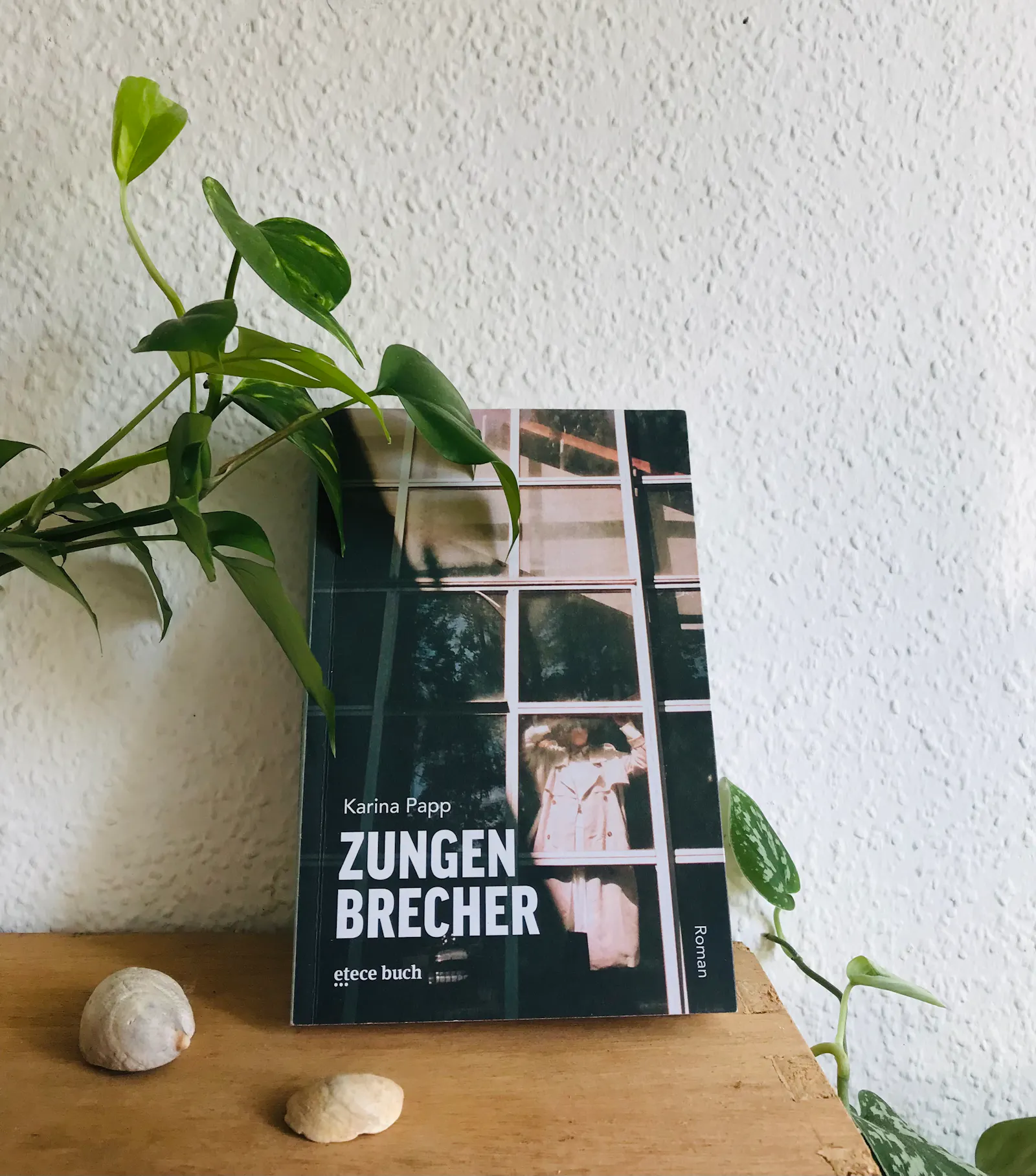 das buch "zungenbrecher" von karina papp, erschienen bei etece buch, auf einem holzregal mit zimmerpflanze und muscheln. das cover zeigt eine person im trenchcoat mit erhobenen armen hinter einer fensterfront, das gesicht der person ist verborgen. im fensterglas spiegeln sich pflanzen /
the book "zungenbrecher" by karina papp published at etece buch, sitting on a shelf accompanied by shells and a house plant. cover shows a person in a trench coat with raised arms behind a huge window facade, the person's face is hidden. in the window glass you can see the reflections of plants.