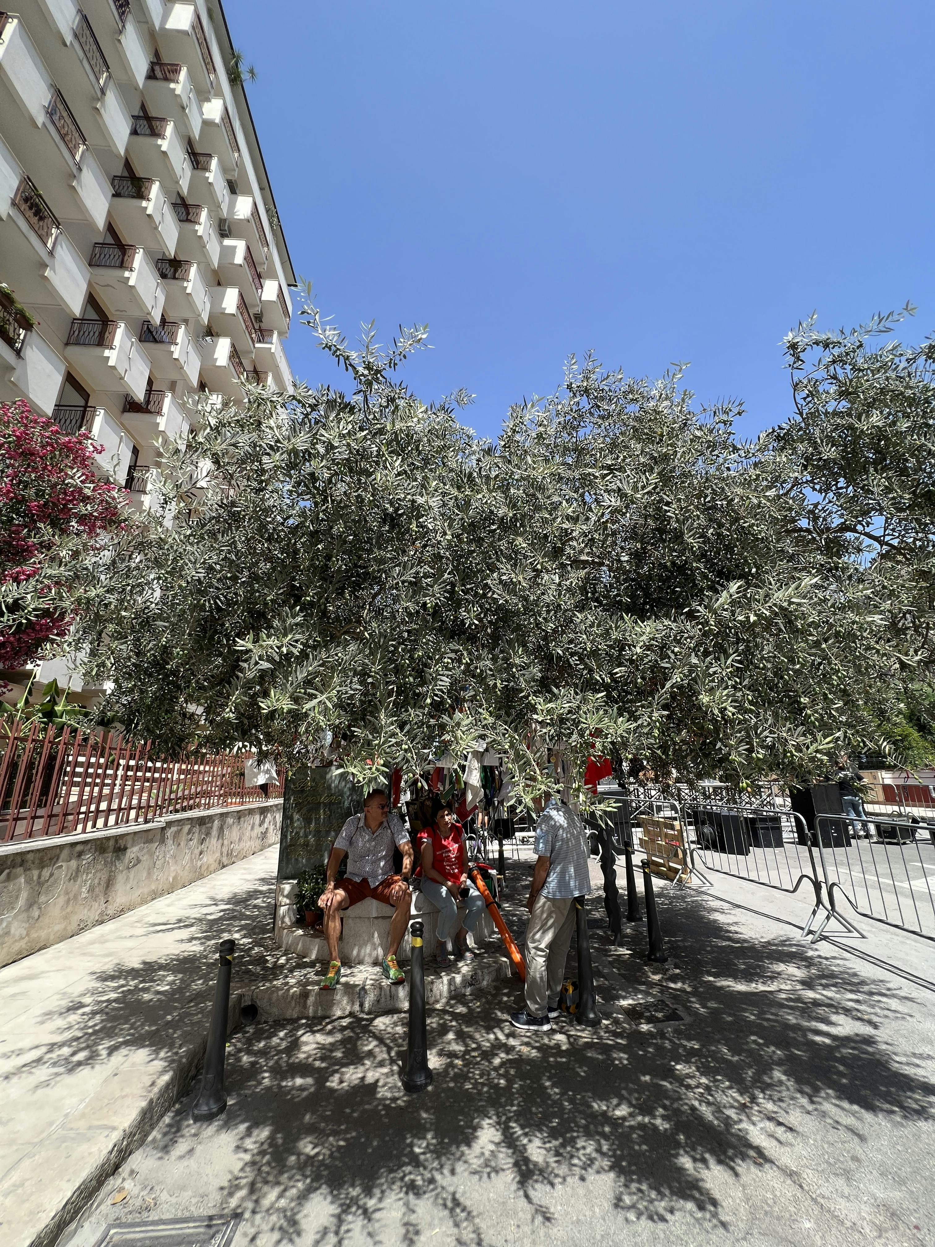 real-estate-fraud (Sorted by Popularity Ascending), image size:1600x2133