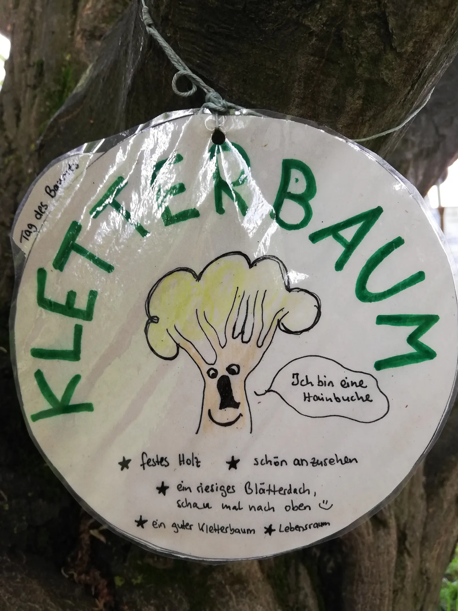 Tag des Baumes