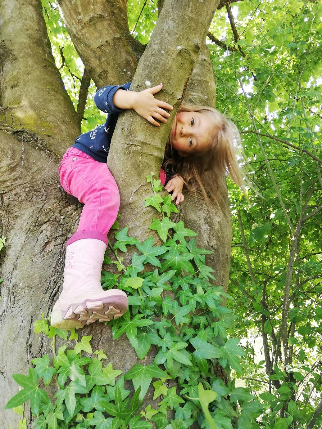 Ein Kletterbaum