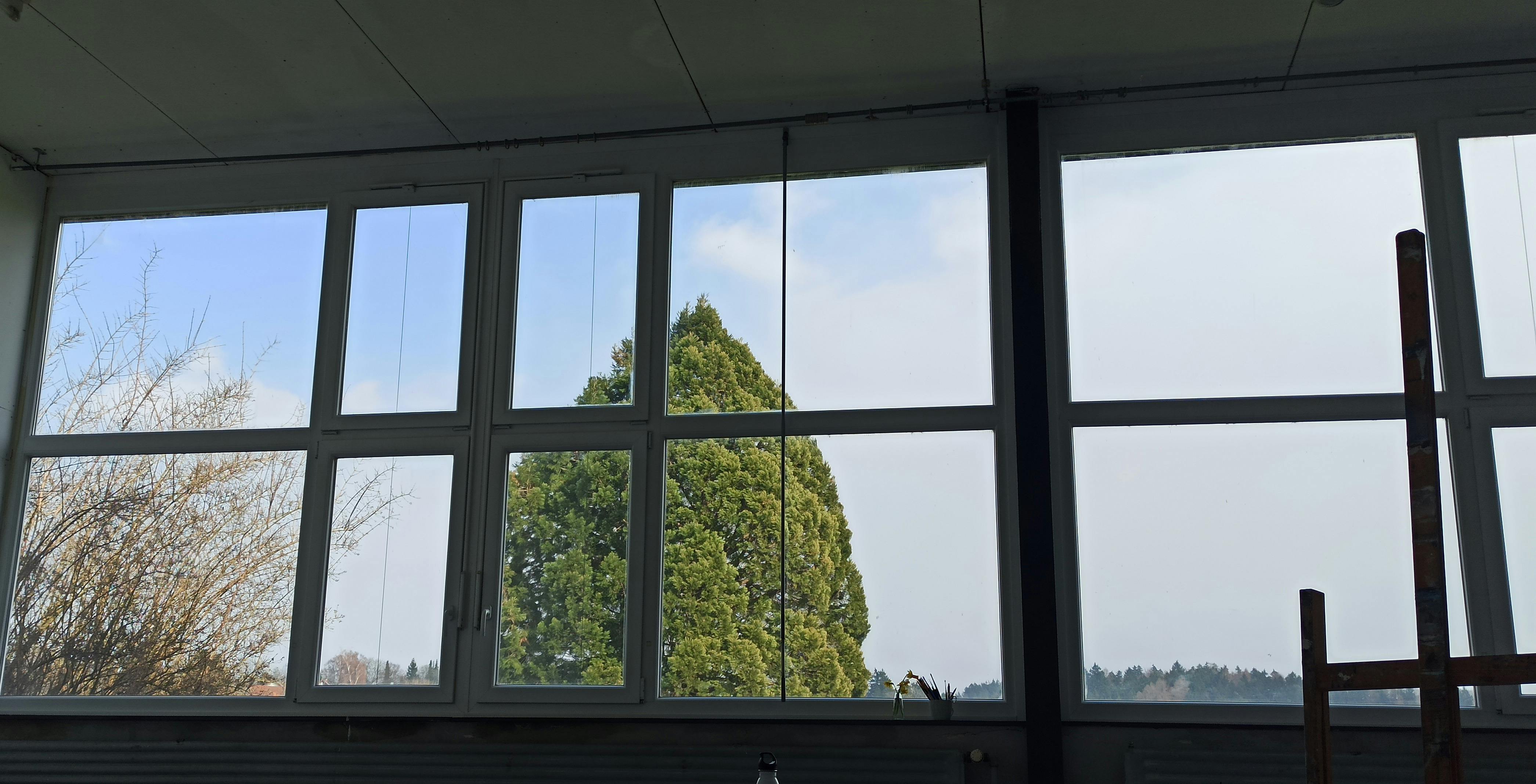 Blick aus dem Fenster, blauer Himmel und Wolken und ein großer Lebensbaum