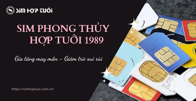 Số May Mắn Tuổi Kỷ Tỵ - Khám Phá Những Con Số Tài Lộc Cho Năm 1989