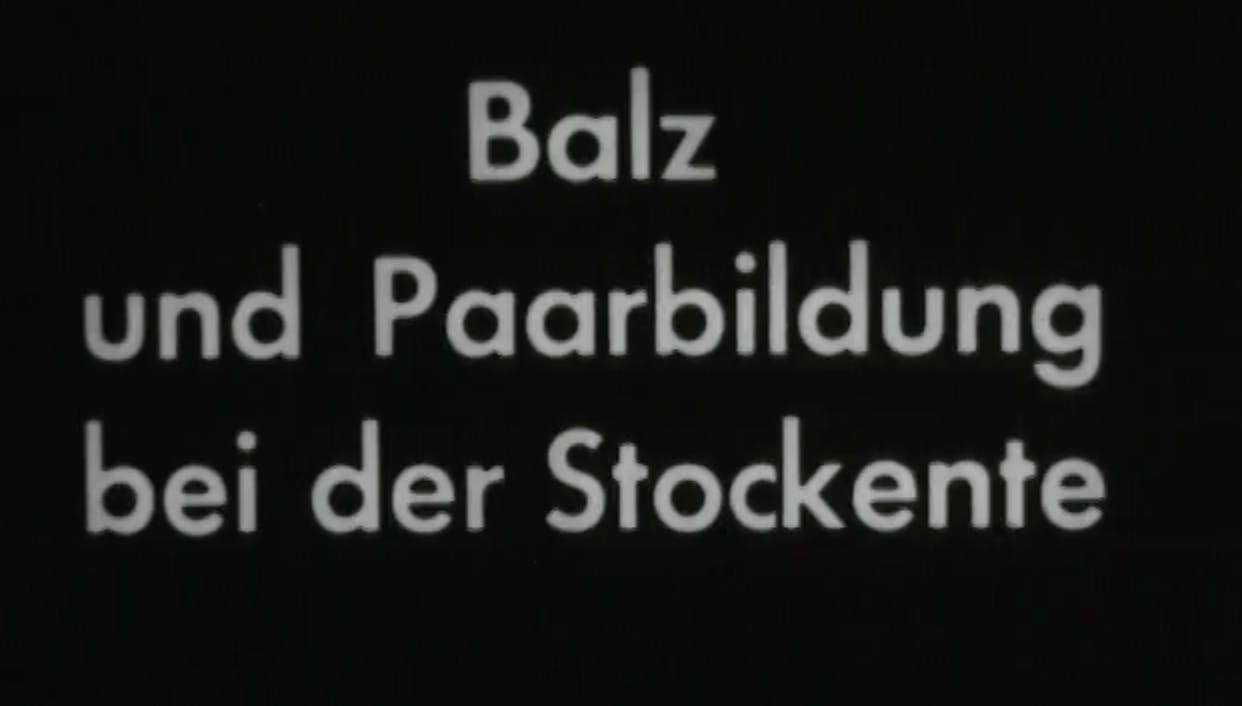 Titel eines alten Dokumentarfilms, schwarzweiß