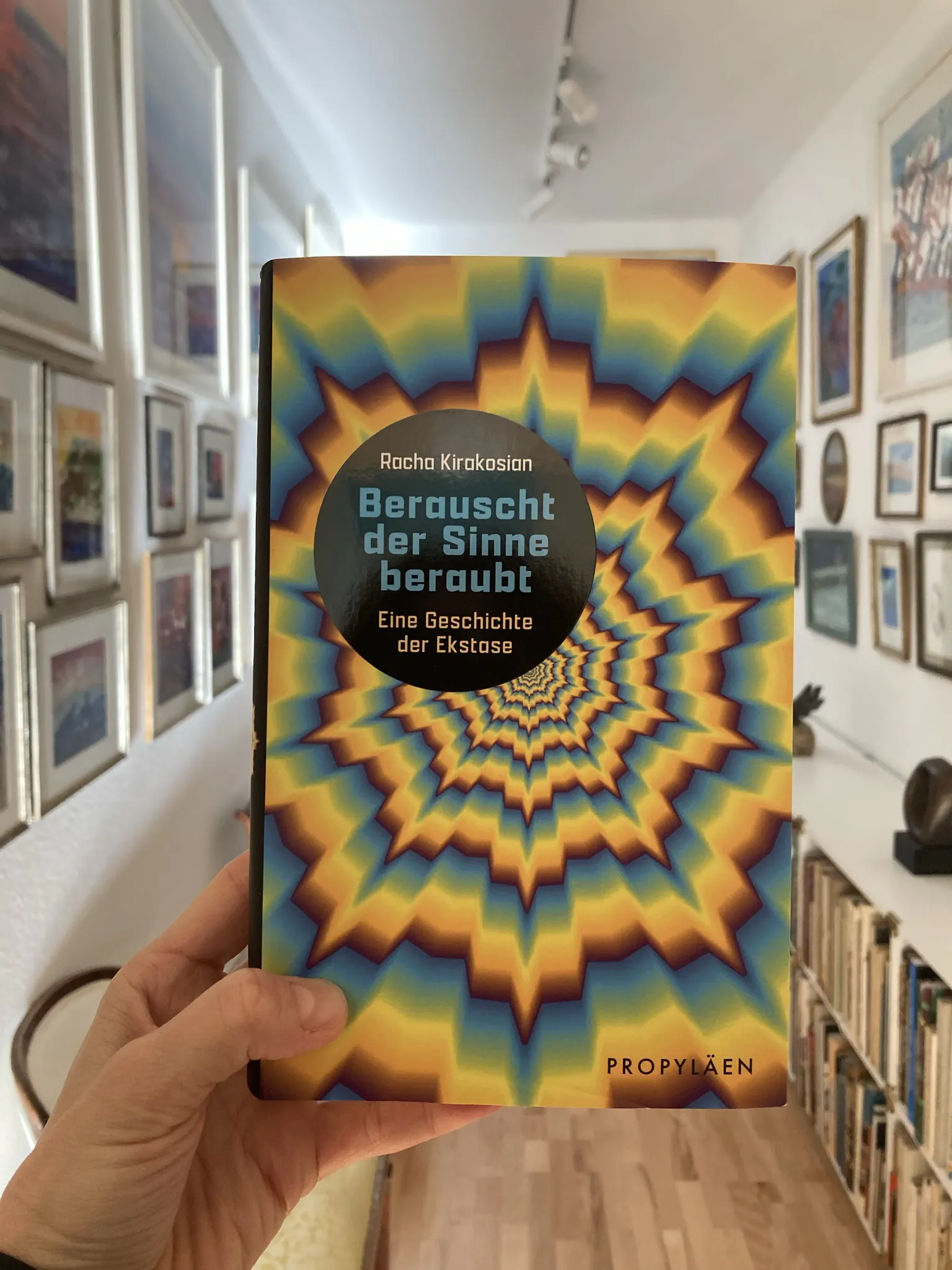 Das Cover von Racha Kirakosians Buch "Berauscht der Sinne beraubt" mit einem Magic-Eye-Motiv in gelb, lila, und blau changierend.