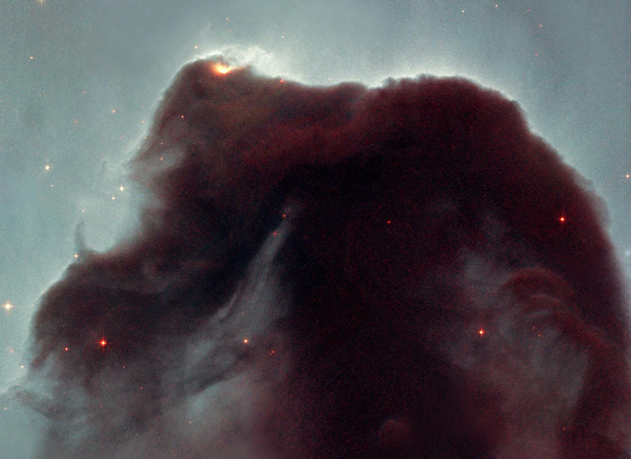 Interstellarer Staub im Pferdekopfnebel (Bild: gemeinfrei)