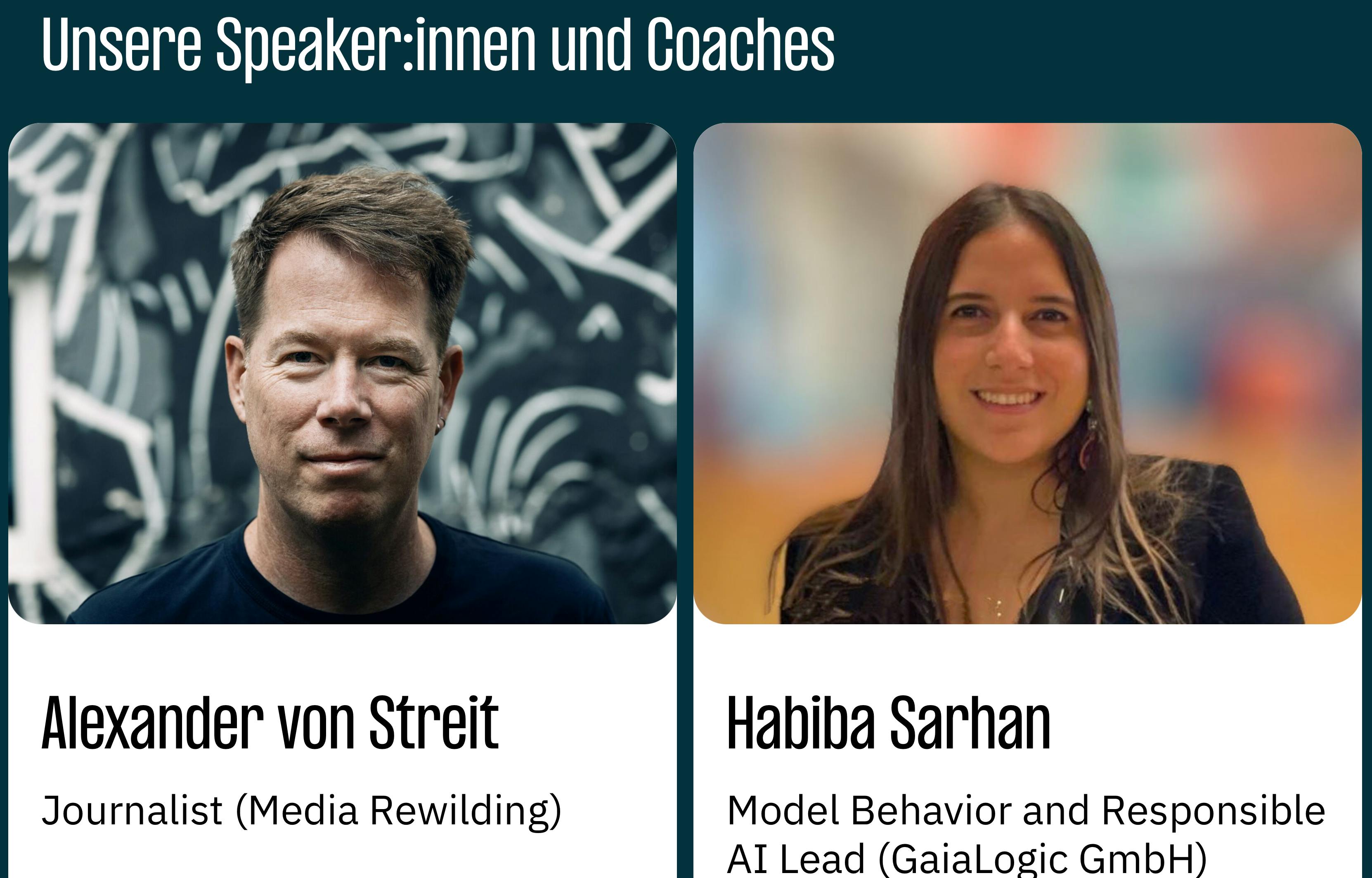 Screenshot Speaker:innen
