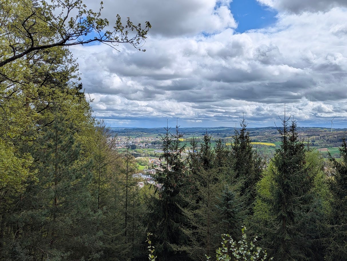 Blick über Baumwipfel hinweg in eine Ebene unter bewölktem Himmel