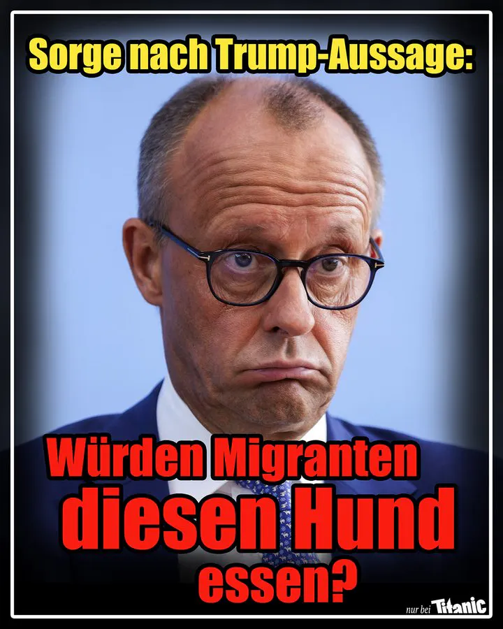Friedrich Merz. Seine Mundwinkel sind nach unten gezogen. Es ähnelt einem klassischen Hundeblick.
Überschrift: "Sorge nach Trump-Aussage:"
Zeile am unteren Bildrand: "Würden Migranten diesen Hund essen?"