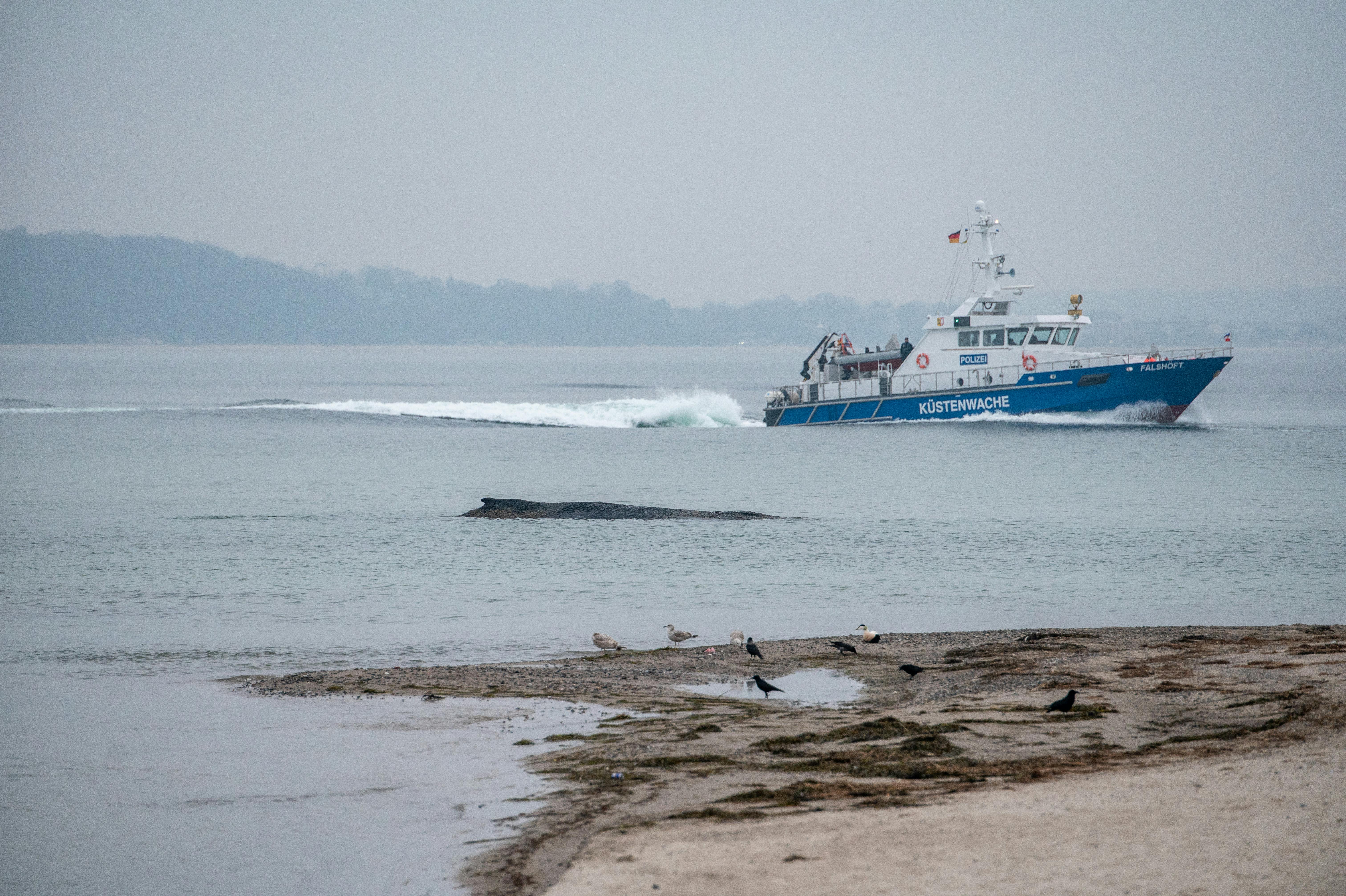 Am frühen Morgen nahm ein Boot der Küstenwache der Polizei erneut Hilfsmaßnahmen auf