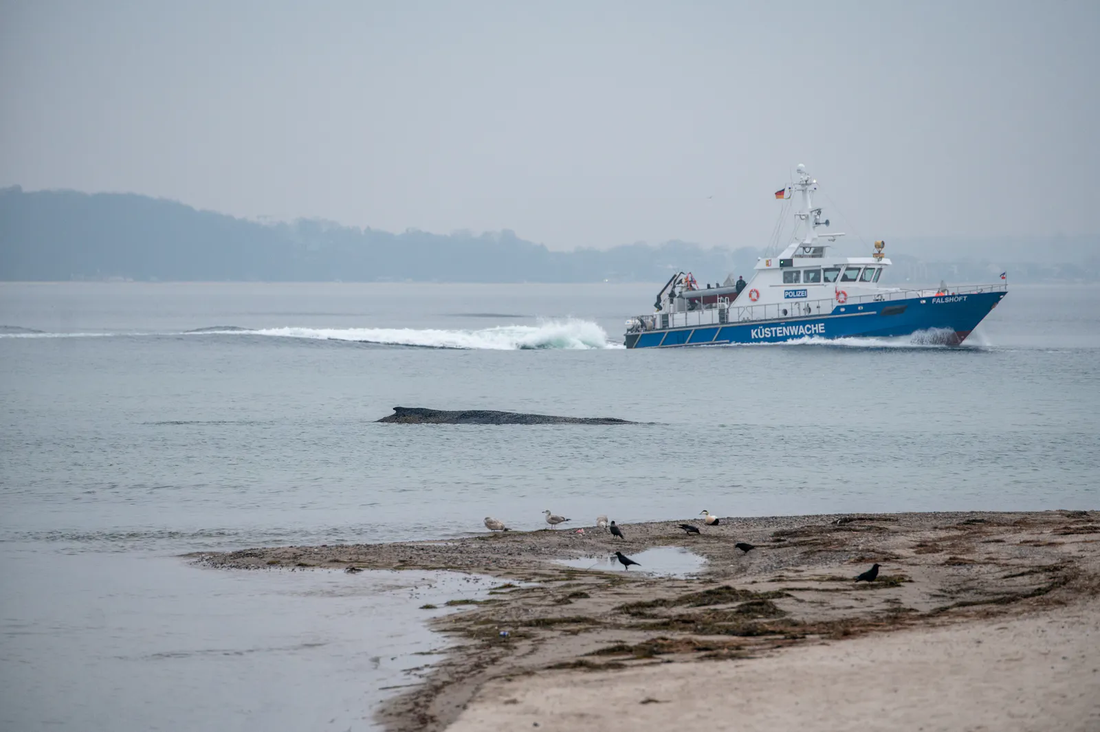Am frühen Morgen nahm ein Boot der Küstenwache der Polizei erneut Hilfsmaßnahmen auf