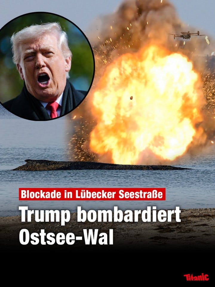 Fotomontage: Eine Explosion über einem Wal, daneben das Bild eines schreienden Trumps. darunter steht der Text: "Blockade in Lübecker Seestraße: Trump bombadiert Ostsee-Wal."