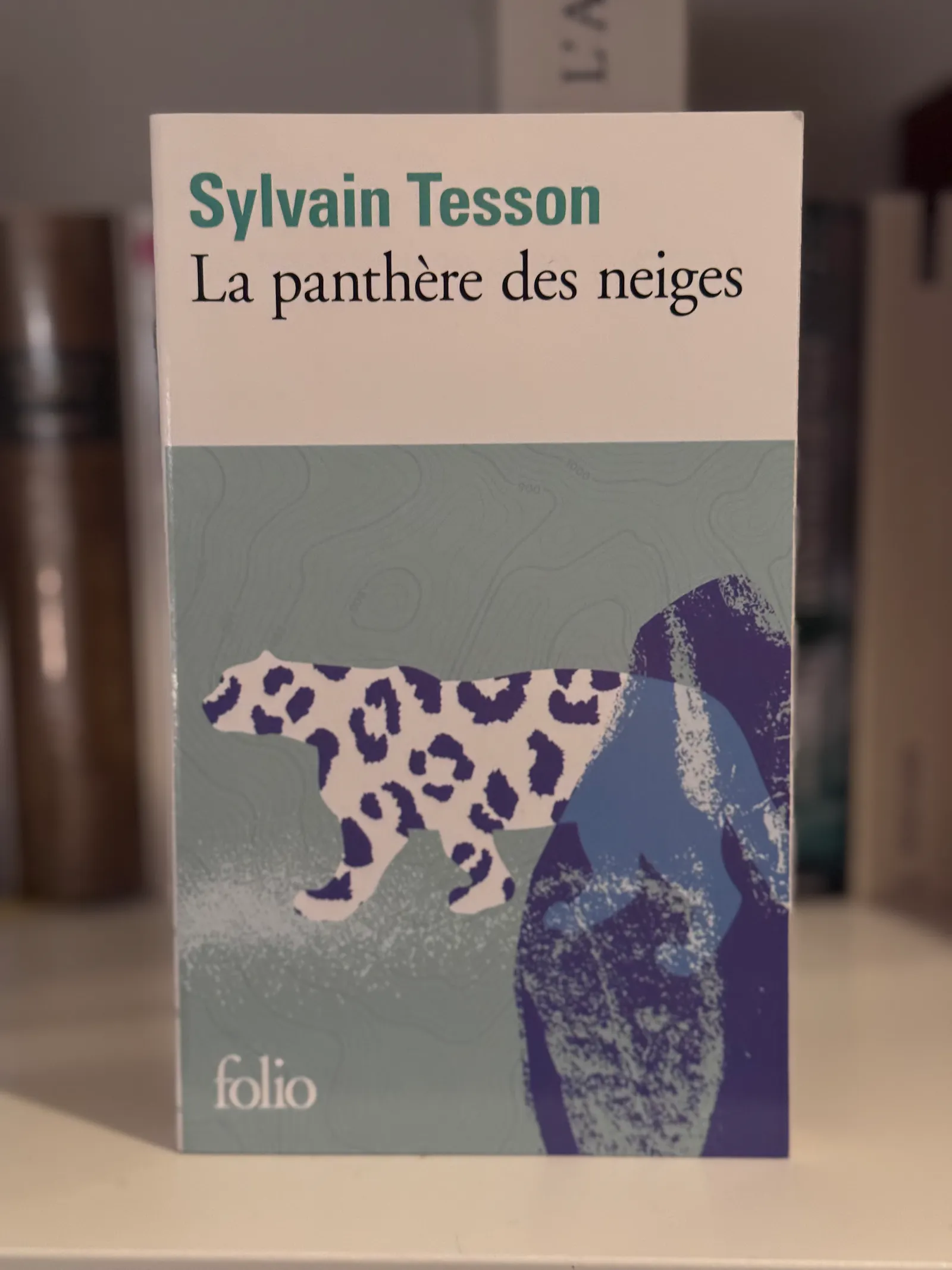 La panthère des neiges