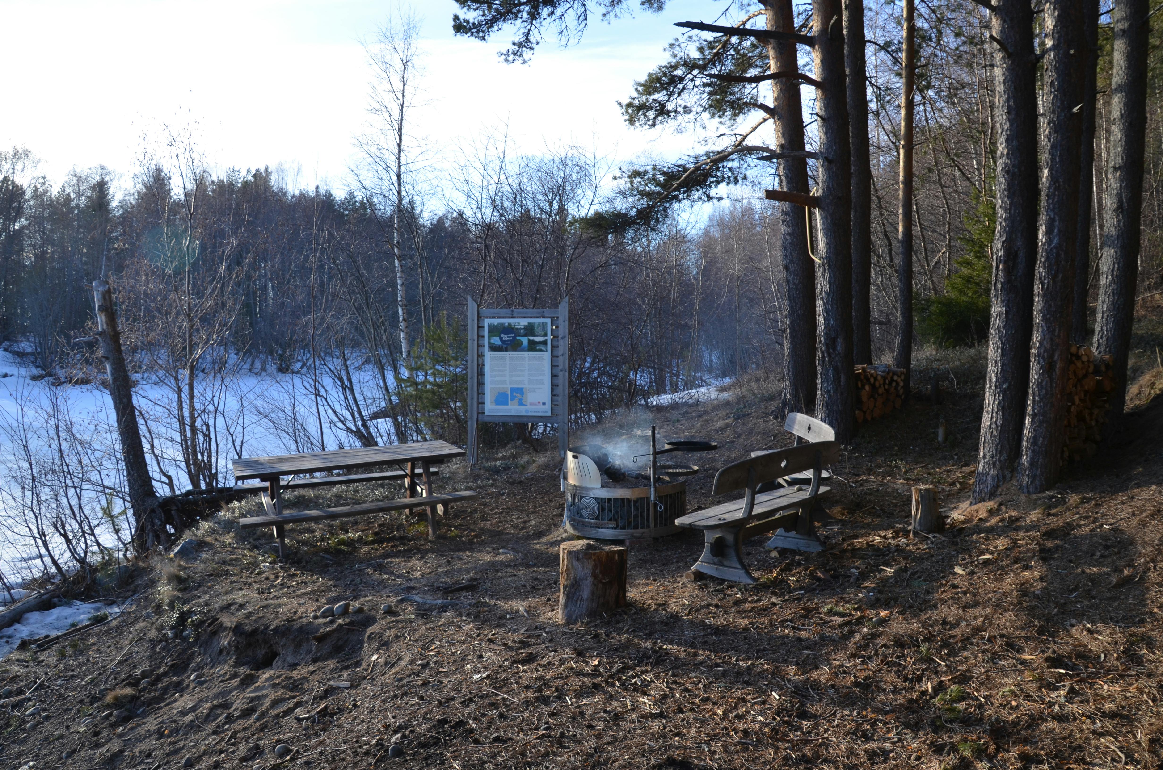 Picknickplatz unter Bäumen
