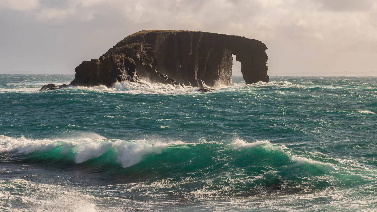 Dore Holm