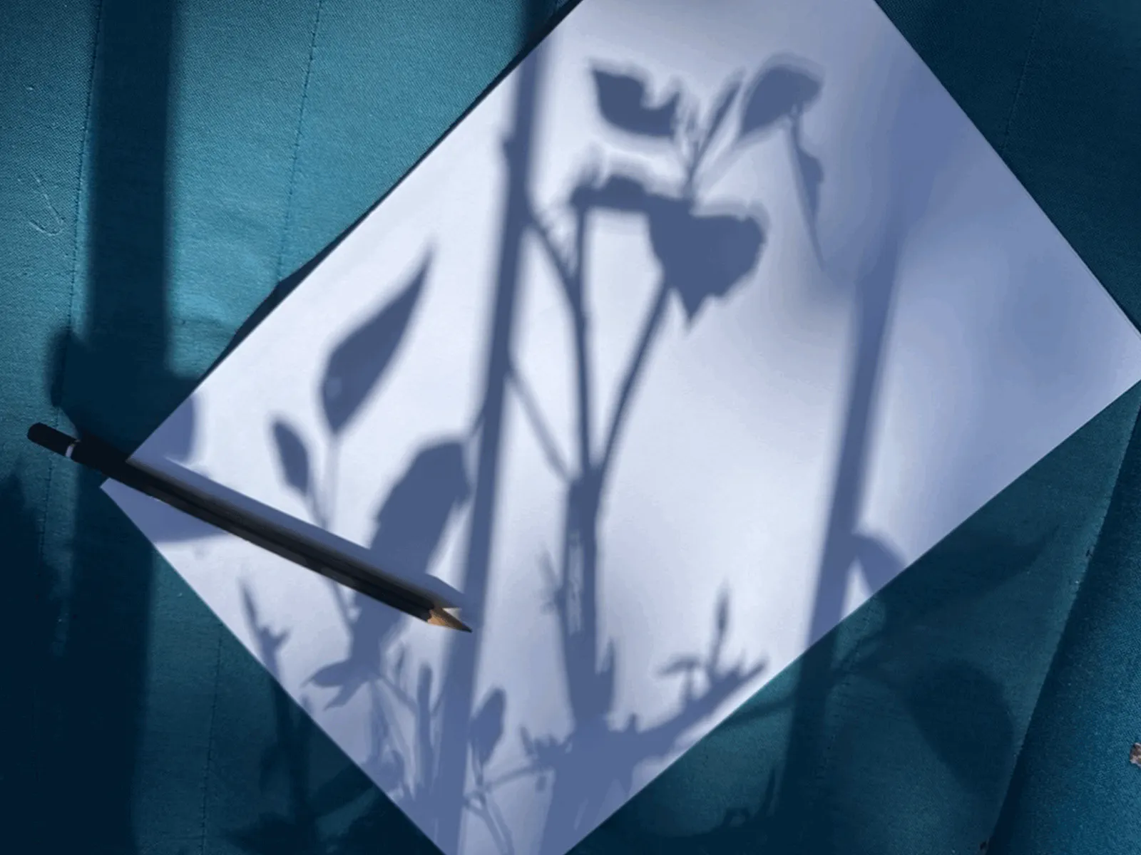 Schattenzeichnen – Zeichnen mit Licht und Schatten