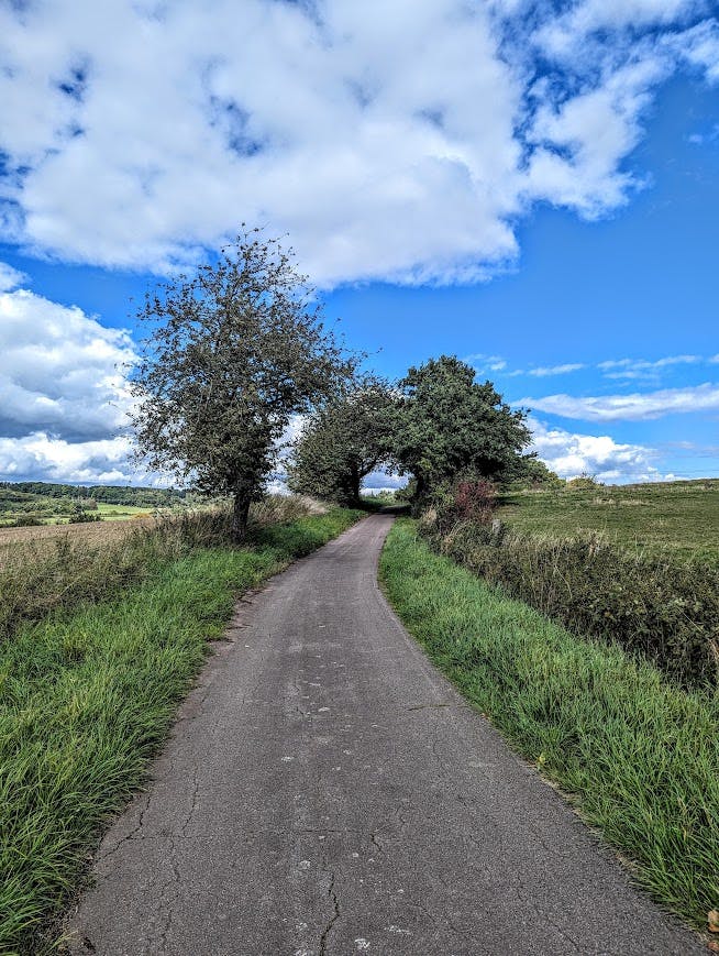leicht ansteigender Asphaltweg an Wiesen und Weizenfeldern vorüber; am Wegrand einige niedrige Laubbäume