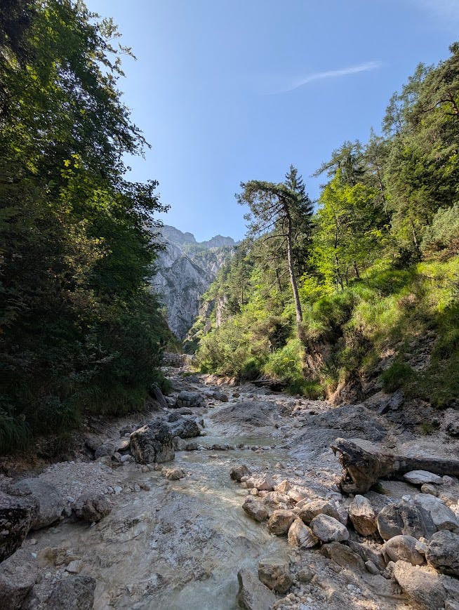 ausgetrocknetes Bett eines Wildbachs; links und rechts Wald; in der Ferne hohe Berge