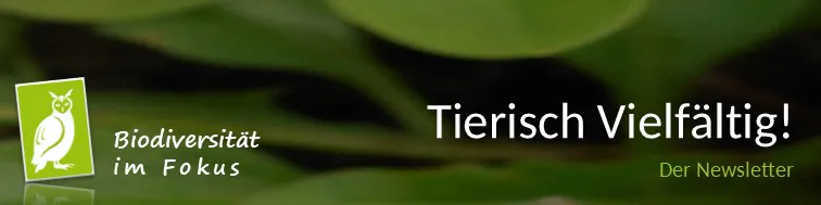 Bannerbild mit dunkelgrünem Hintergrund. Links eine hellgrüne Eulen-Grafik mit dem Text: Biodiversität im Fokus. Rechts steht in Weiß: Tierisch Vielfältig! Der Newsletter.