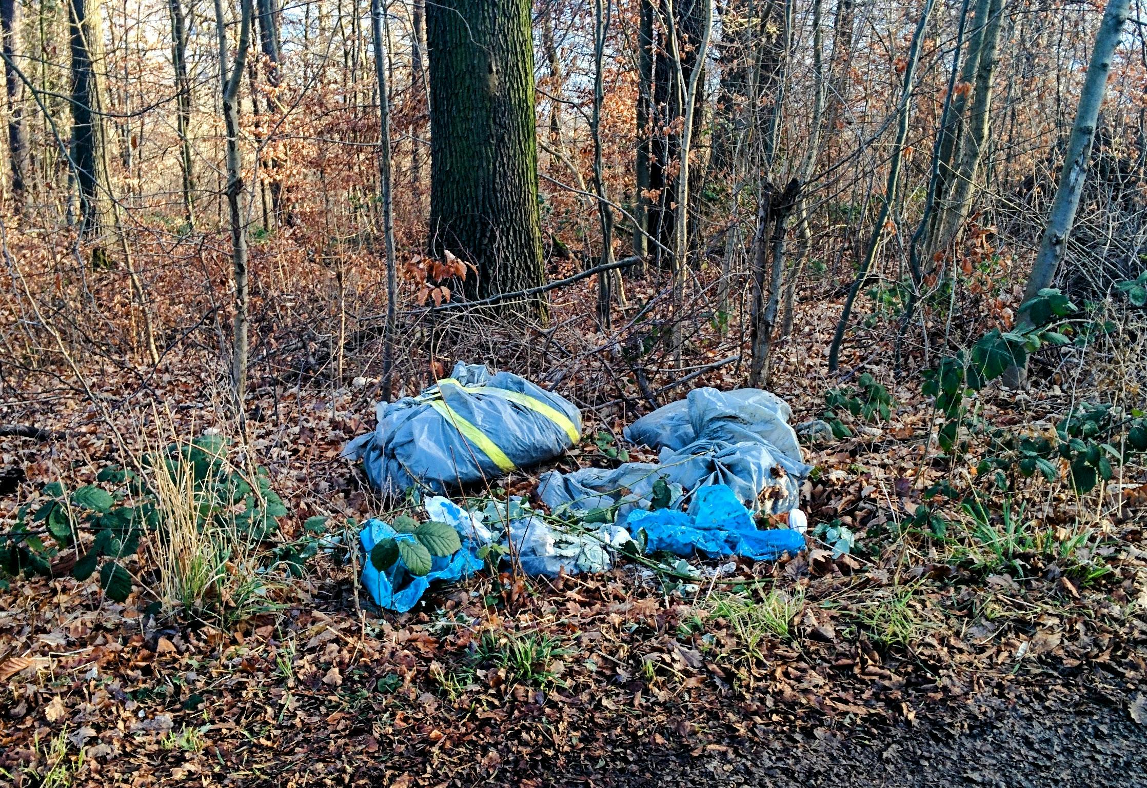 Auch auf dem Weg zur Waldebene Ost an den Waldheimen vorbei wird immer wieder illegal Müll entsorgt. Foto: Jürgen Brand