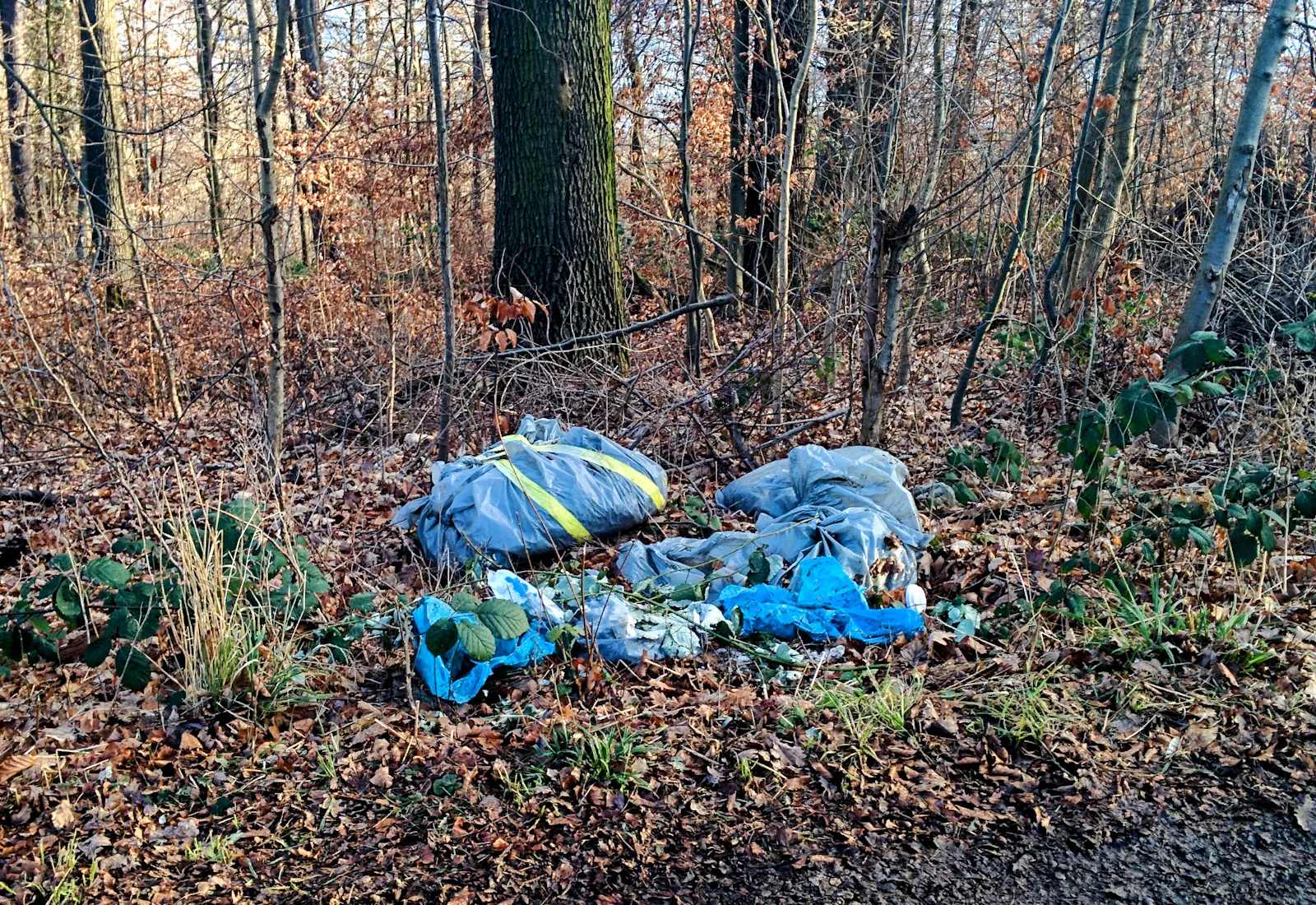 Auch auf dem Weg zur Waldebene Ost an den Waldheimen vorbei wird immer wieder illegal Müll entsorgt. Foto: Jürgen Brand