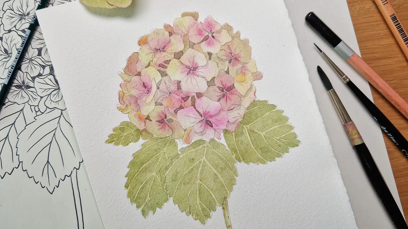 Video-Tutorial: Hortensie