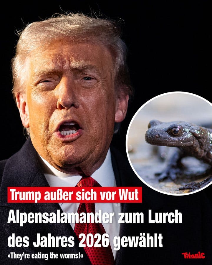 Ein schreiender Donald Trump neben dem Bild eines Alpensalamanders, dazu der Text: "Trump außer sich vor Wut: Alpensalamander zum Lurch des Jahres 2026 gewählt." Trump denkt: "They're eating the worms!"