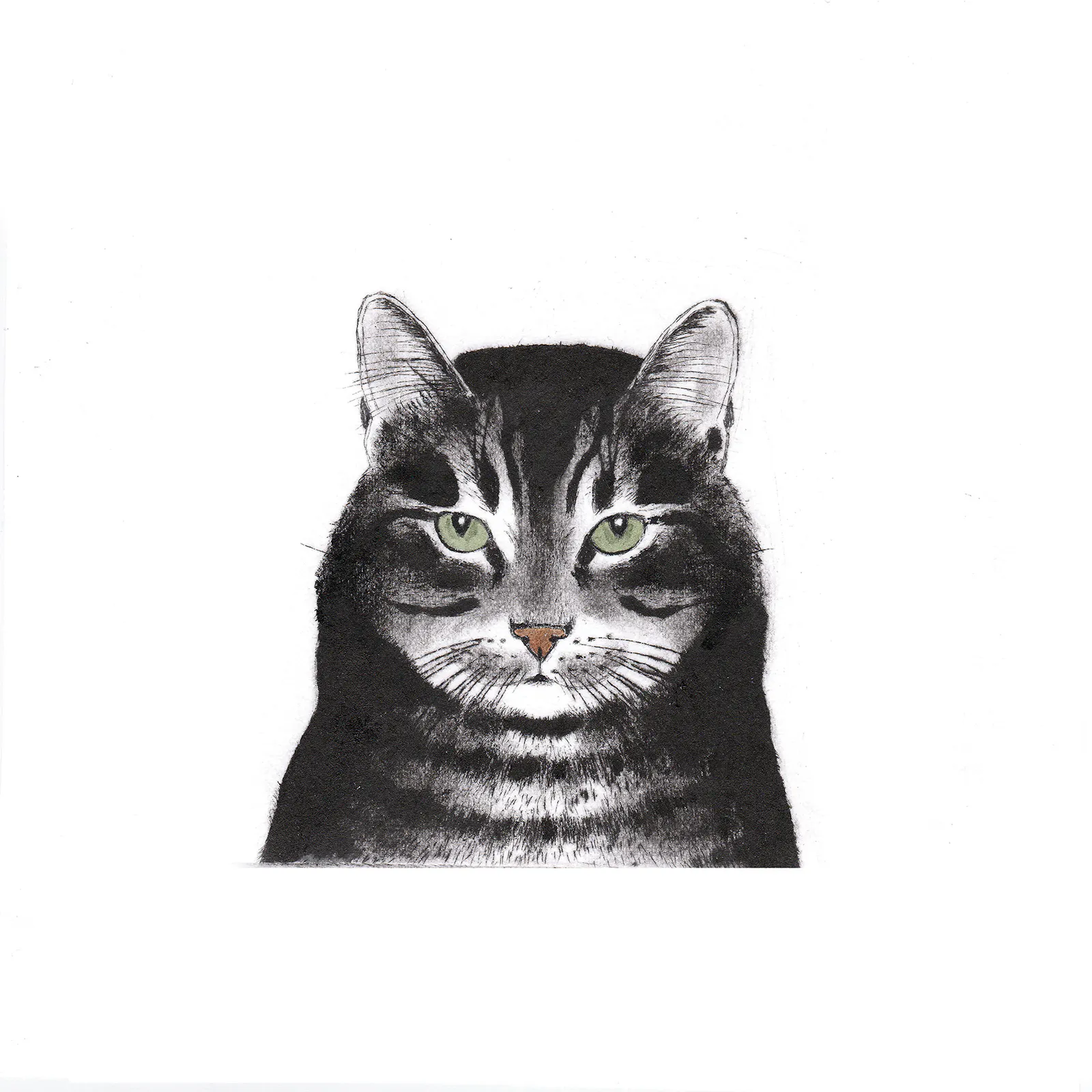 Aus KATZEN IN DER KUNST das Bild Engelsgesicht, teuflische Gedanken von Kay McDonagh