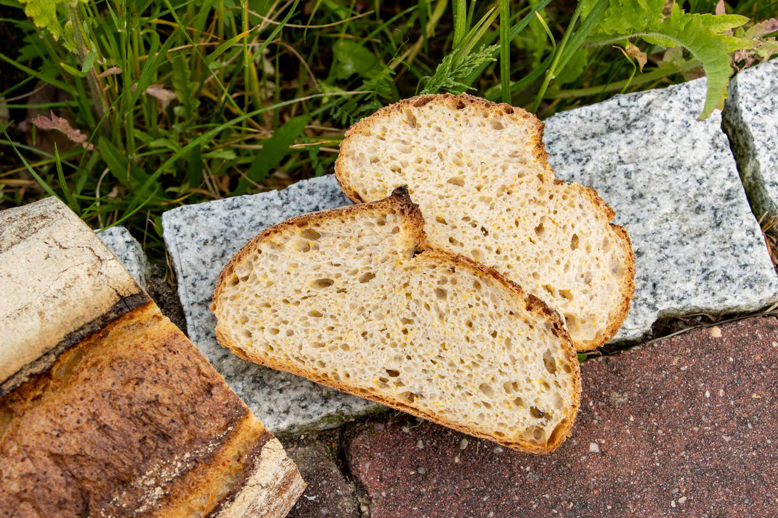 Luftig leicht und mit 20% Mais-Anteil: das Polentabrot. Wie Mais in der Rezeptentwicklung behandelt werden kann, klärt der folgende Beitrag.