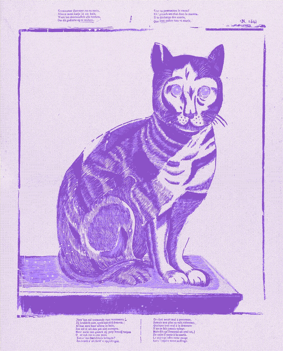 Niederländischer Buchdruck aus dem 19. Jahrhundert mit einer fabelhaften Katze. Ein Teil des Randtextes lautet übersetzt: „Kein verrückteres Tier für Ratte und Maus, / Als ein hübsches Kätzchen in deinem Haus".