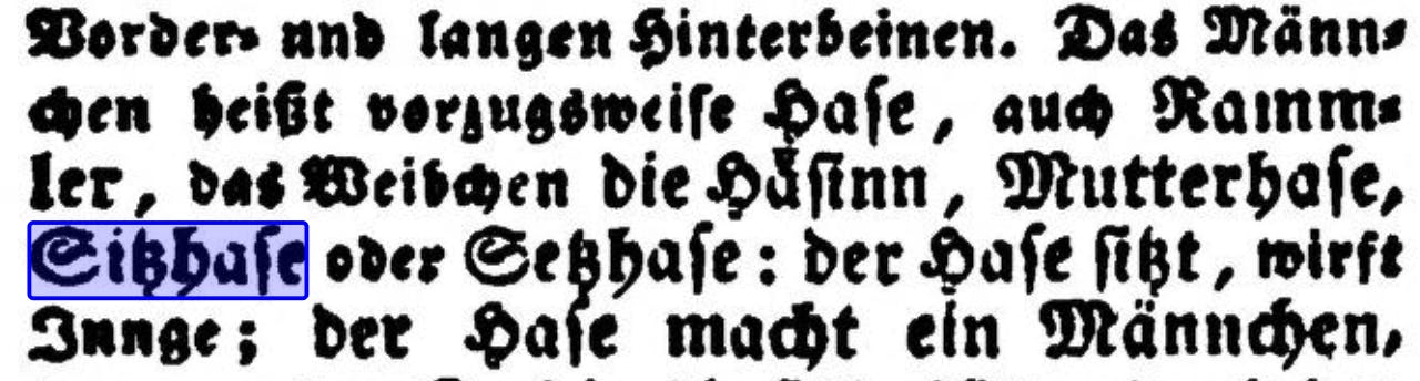 "Das Münnchen heißt vorzugsweise Hase, auch Rammler, das Weibchen heißt Häsinn, Mutterhase, Sitzhase oder Setzhase."