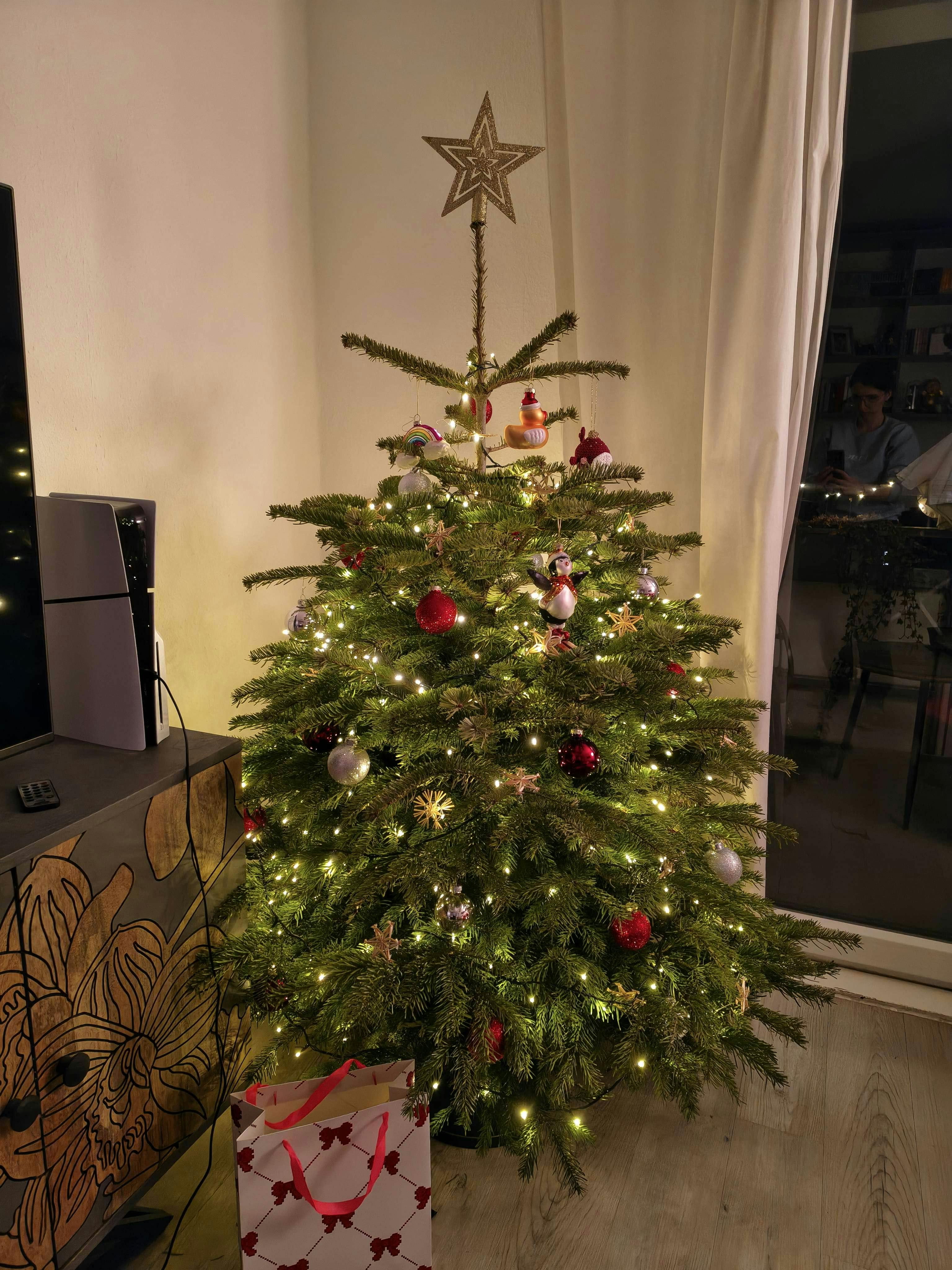 Franzis geschmückter Weihnachtsbaum