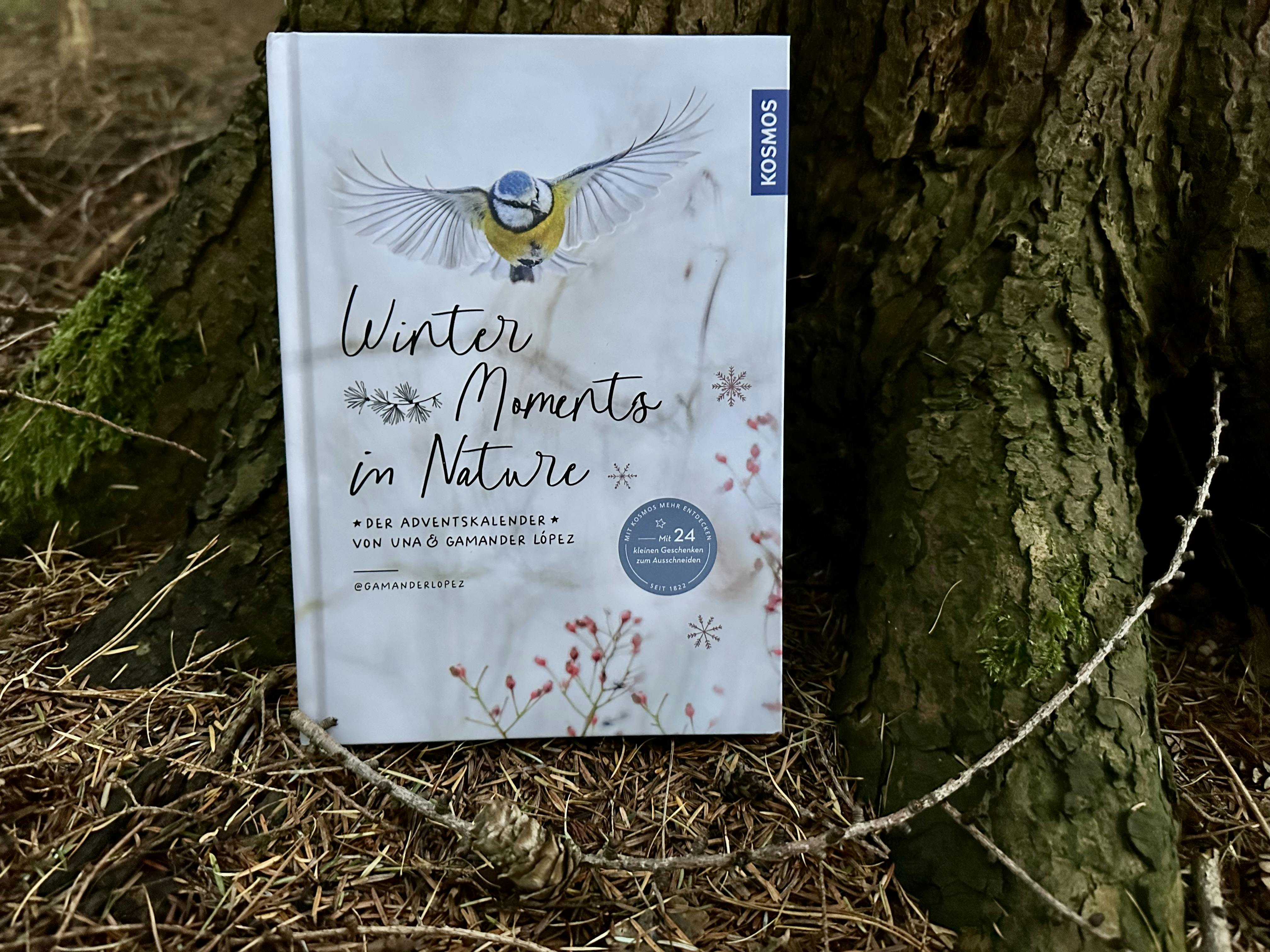 Buch "Winter Moments in Nature", an den Stamm eines Nadelbaums gelehnt.