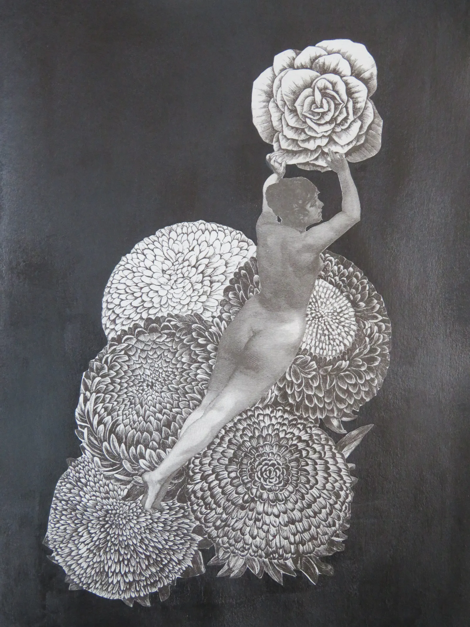 Schwarz-weiß Collage auf schwarz grundiertem Hintergrund. Große runde Blüten machen die Hälfte des Bildes aus. Über den Blüten liegt oder fliegt eine nackte Frau, sie hälte sich an einer anderen großen Blüte fest.
