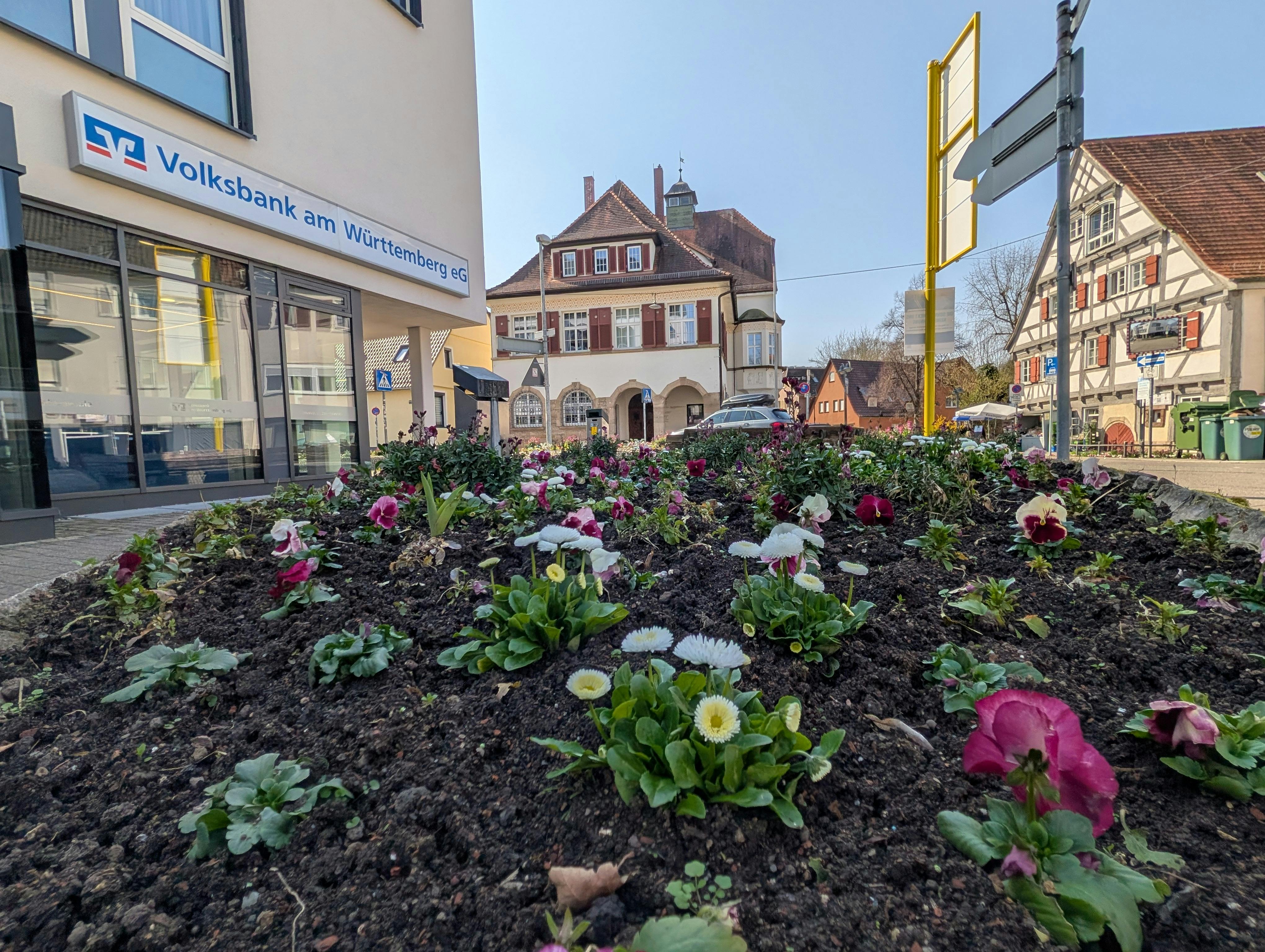 So schon hat es vor Ostern mitten in Hedelfingen noch geblüht. Foto: Jürgen Brand