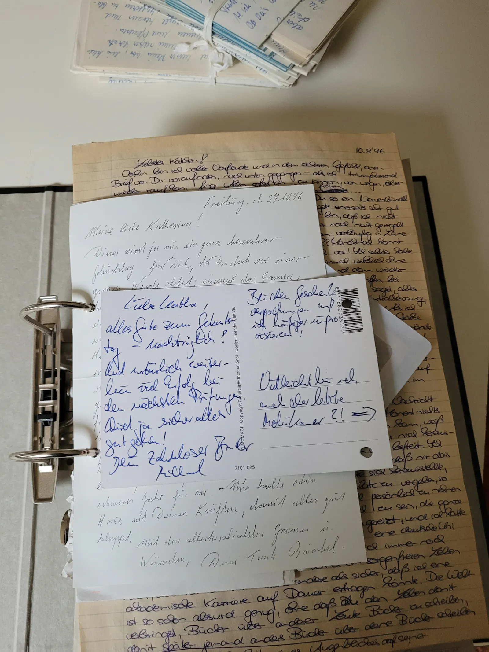 Handgeschriebene Briefe, abgeheftet in einem Ordner.