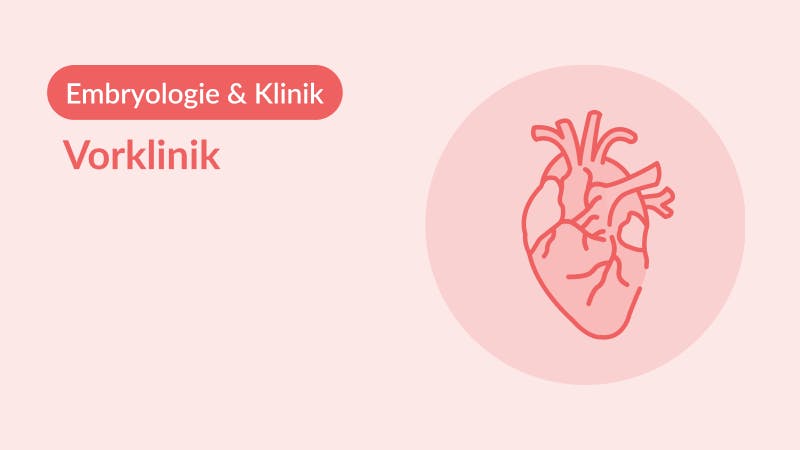 [Vorklinik] Embryologie Und Klinik: Angeborene Herzfehler * - AMBOSS Audio