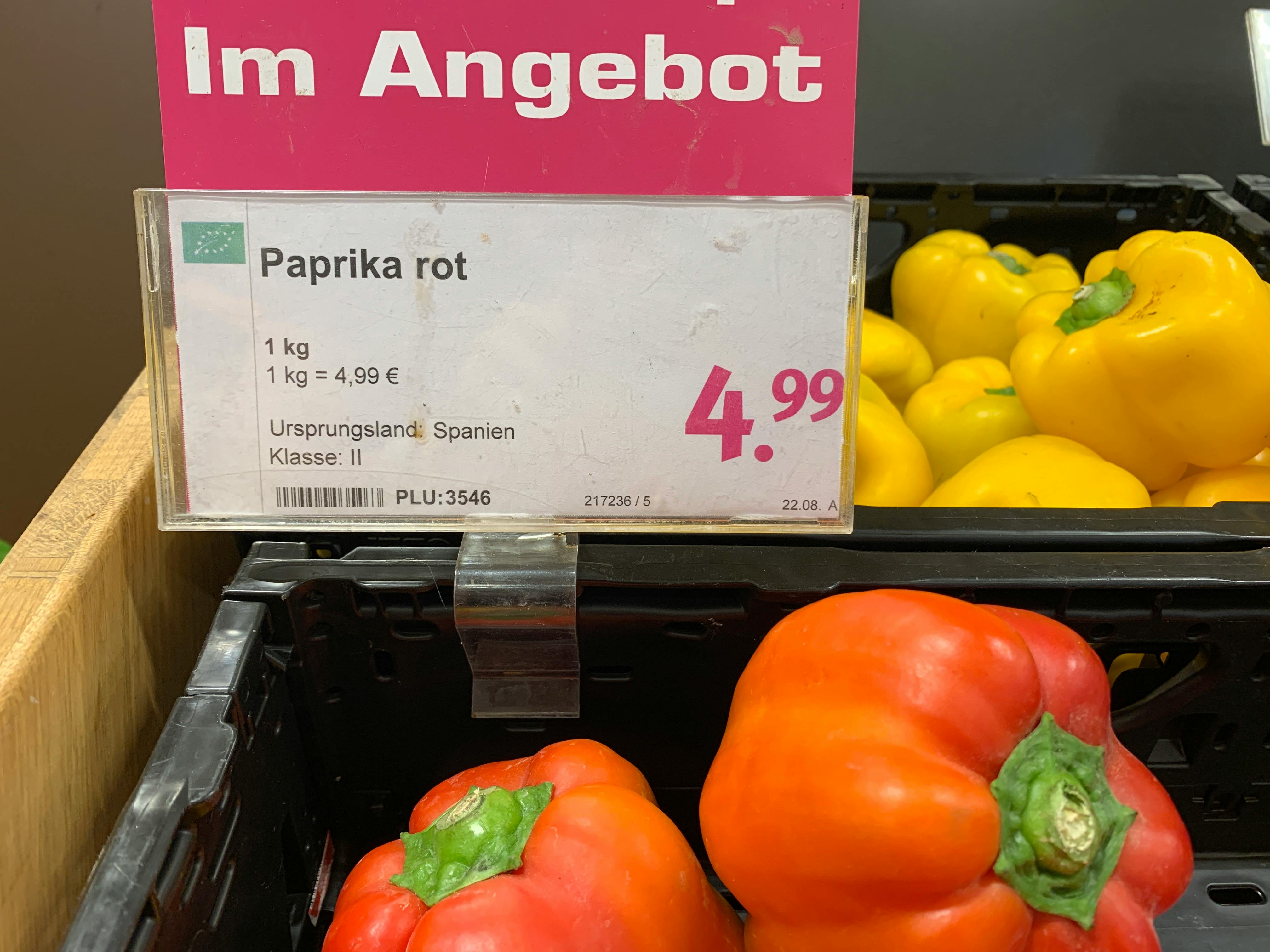 Paprika rot (Foto)