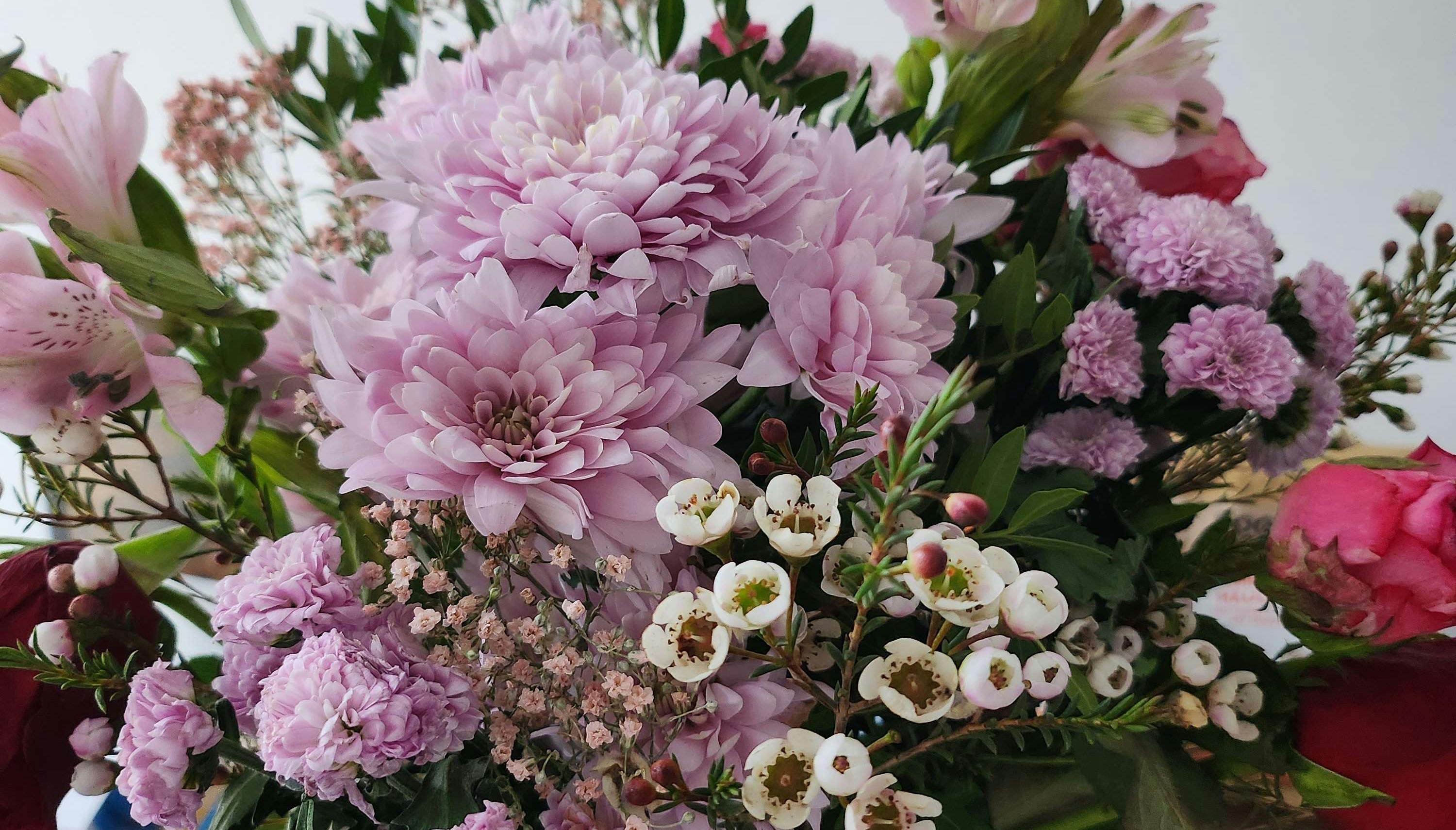Ein Blumenstrauß mit rosafarbenen Chrysanthemen, kleinen weißen Blüten, zartrosa Nelken und grünen Blättern.