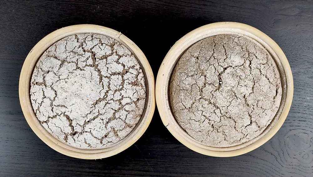 Ist der Teig fest oder weich? Mit der Teigausbeute lässt sich die Teigkonsistenz einer Rezeptur schon vor dem Backen einschätzen.