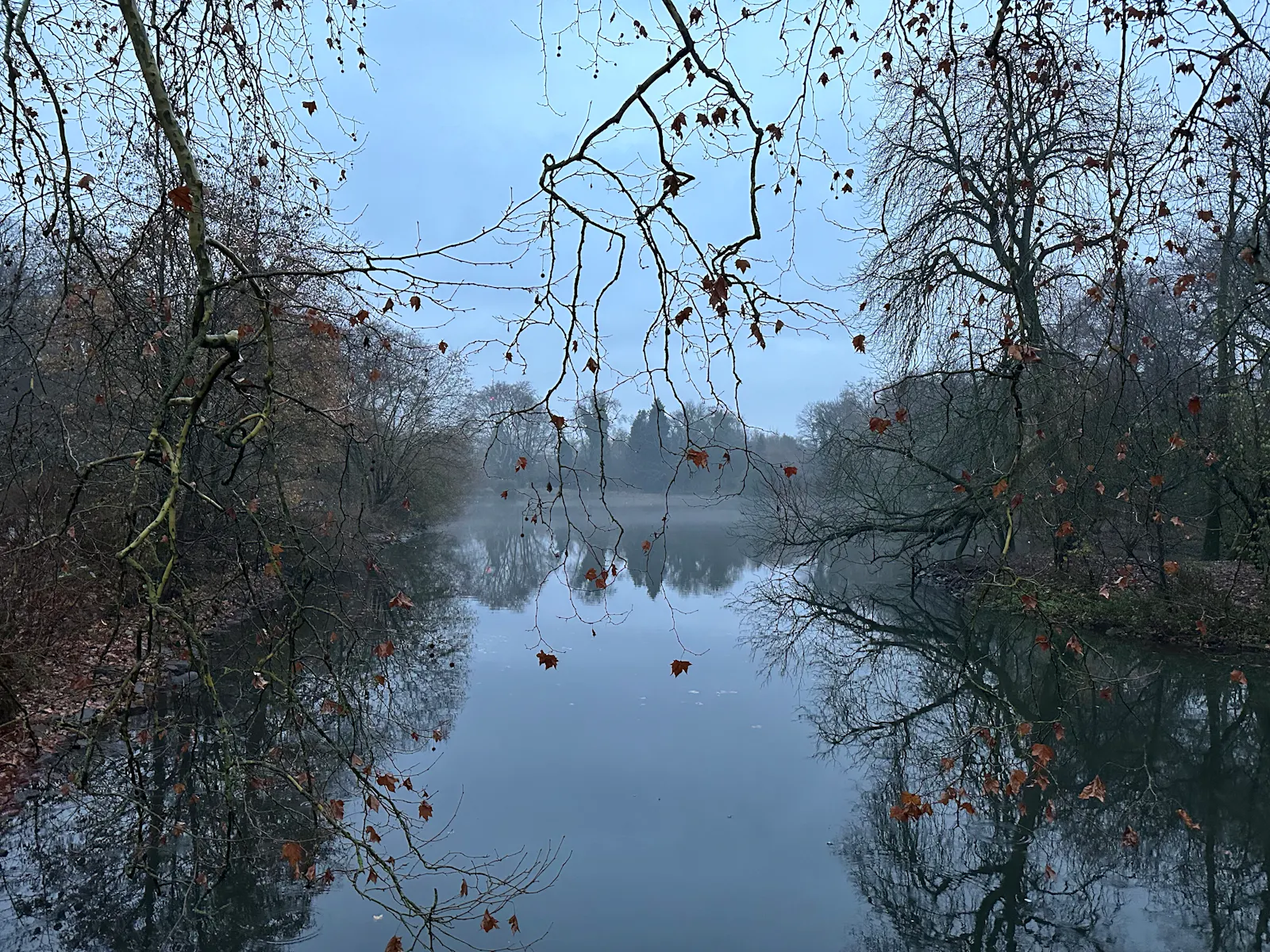 Trüber Novembermorgen: Blick auf einen See mit entlaubten, herabhängenden Zweigen.