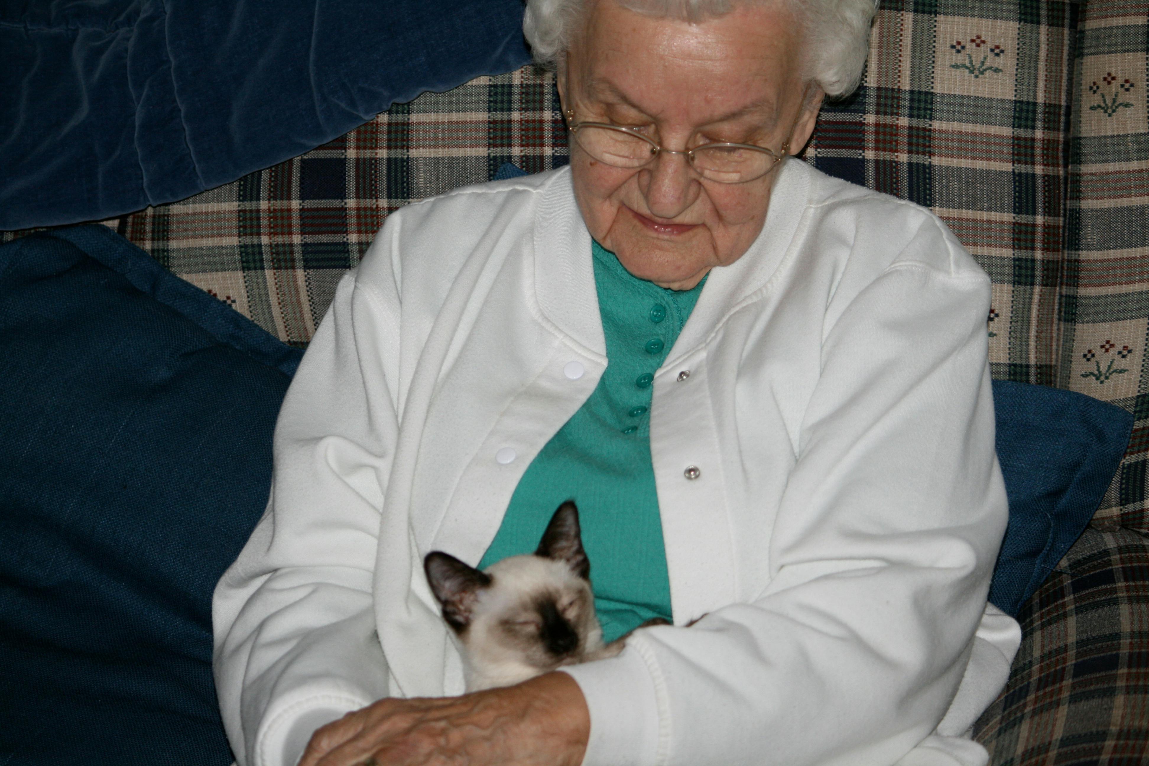 My grandmother sits on an old white and blue love seat wearing a white sweater and blue top. A seal point Siamese munchkin kitten is cradled in her hands, sleeping.