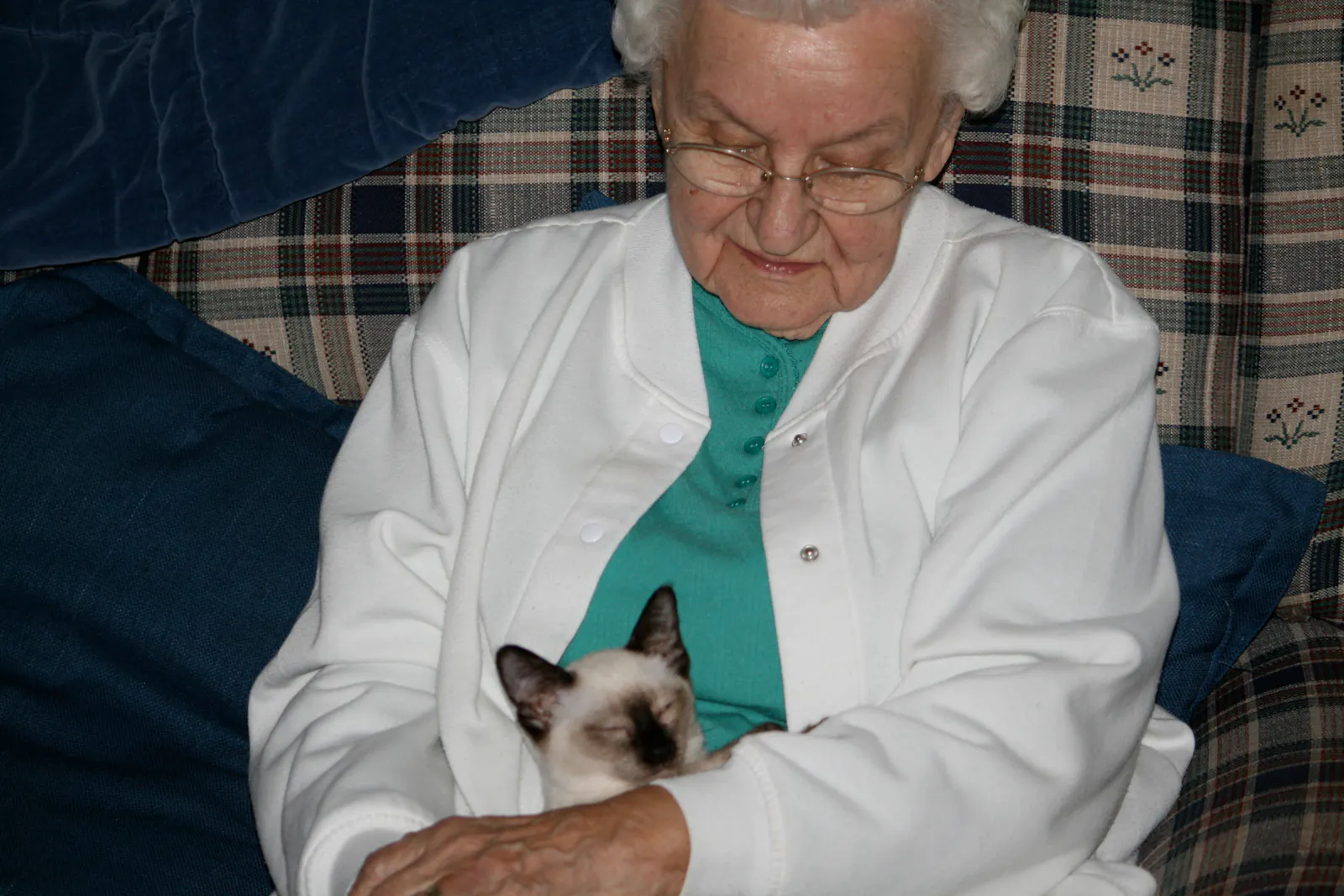 My grandmother sits on an old white and blue love seat wearing a white sweater and blue top. A seal point Siamese munchkin kitten is cradled in her hands, sleeping.